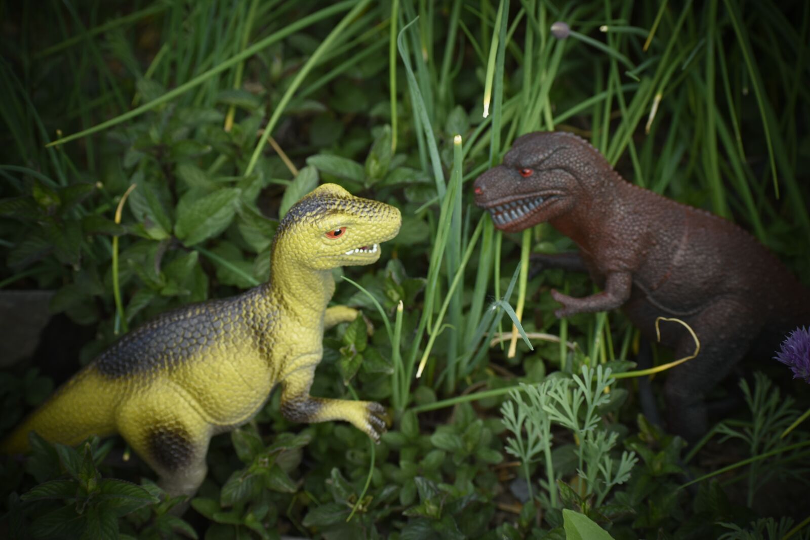 Nikon D5500 sample photo. Toy dinosaurs, dinosaur, jurassic photography