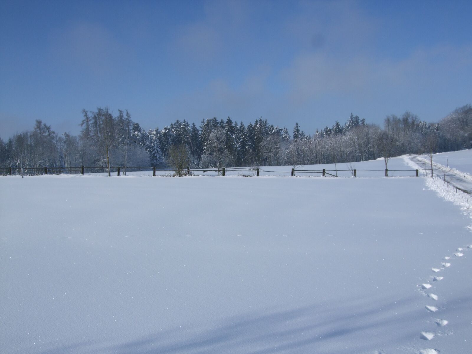 Fujifilm FinePix F50fd sample photo. Snow, landscape, winter photography