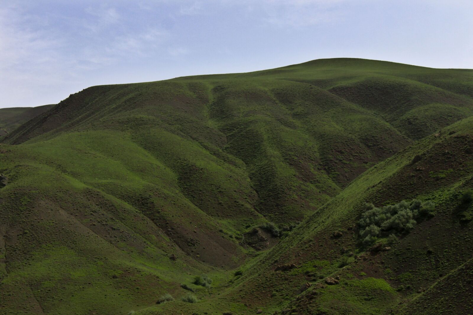 Canon EOS 500D (EOS Rebel T1i / EOS Kiss X3) sample photo. Mountain, spring, green photography