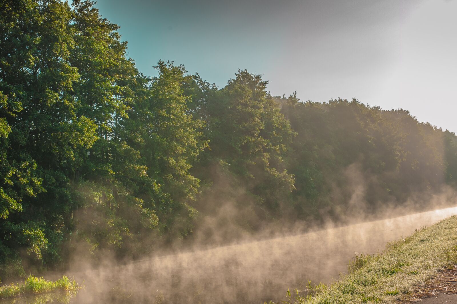 Nikon D700 sample photo. Fog, river, water photography