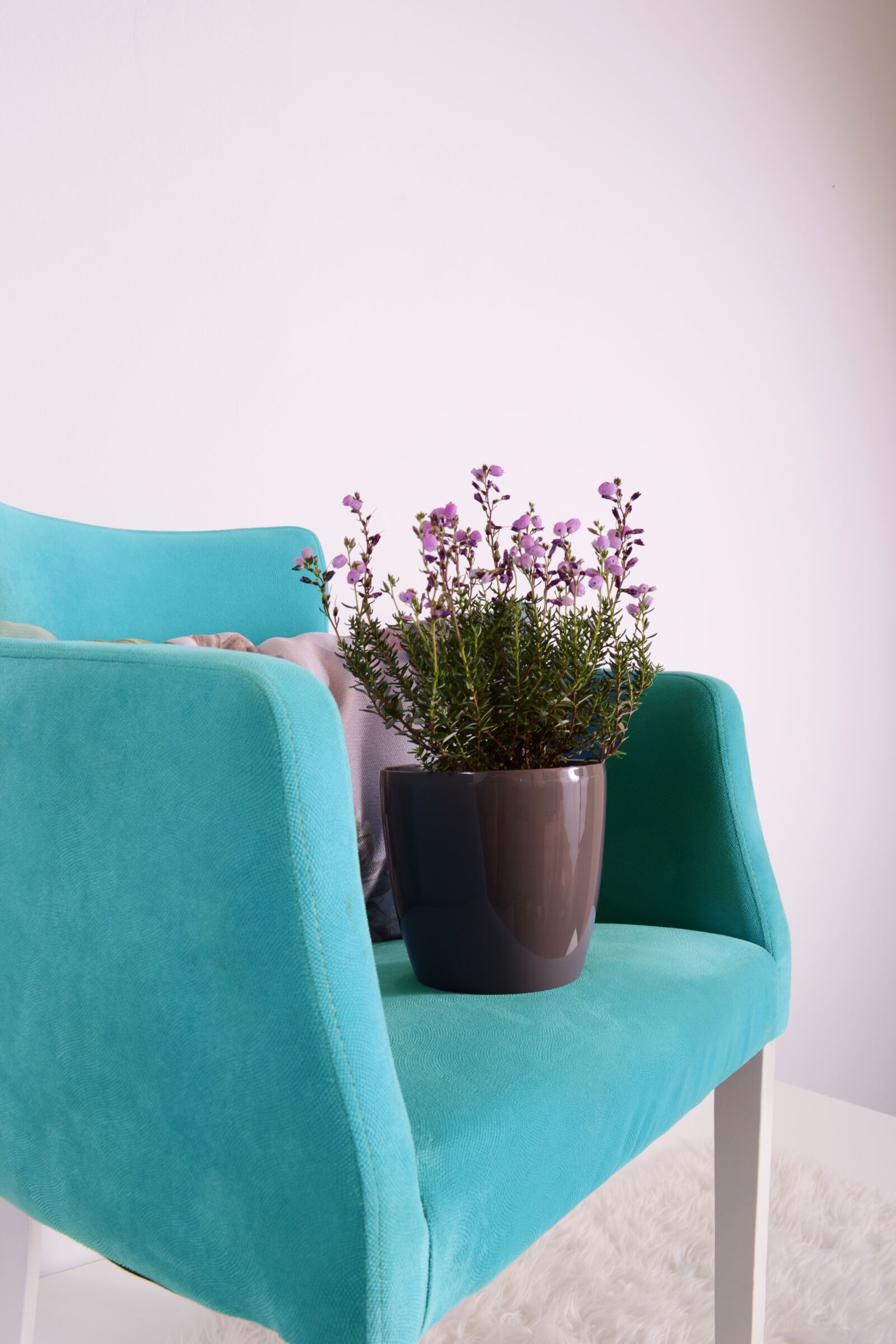 Nikon D3100 sample photo. Flowerpots, green, grow photography