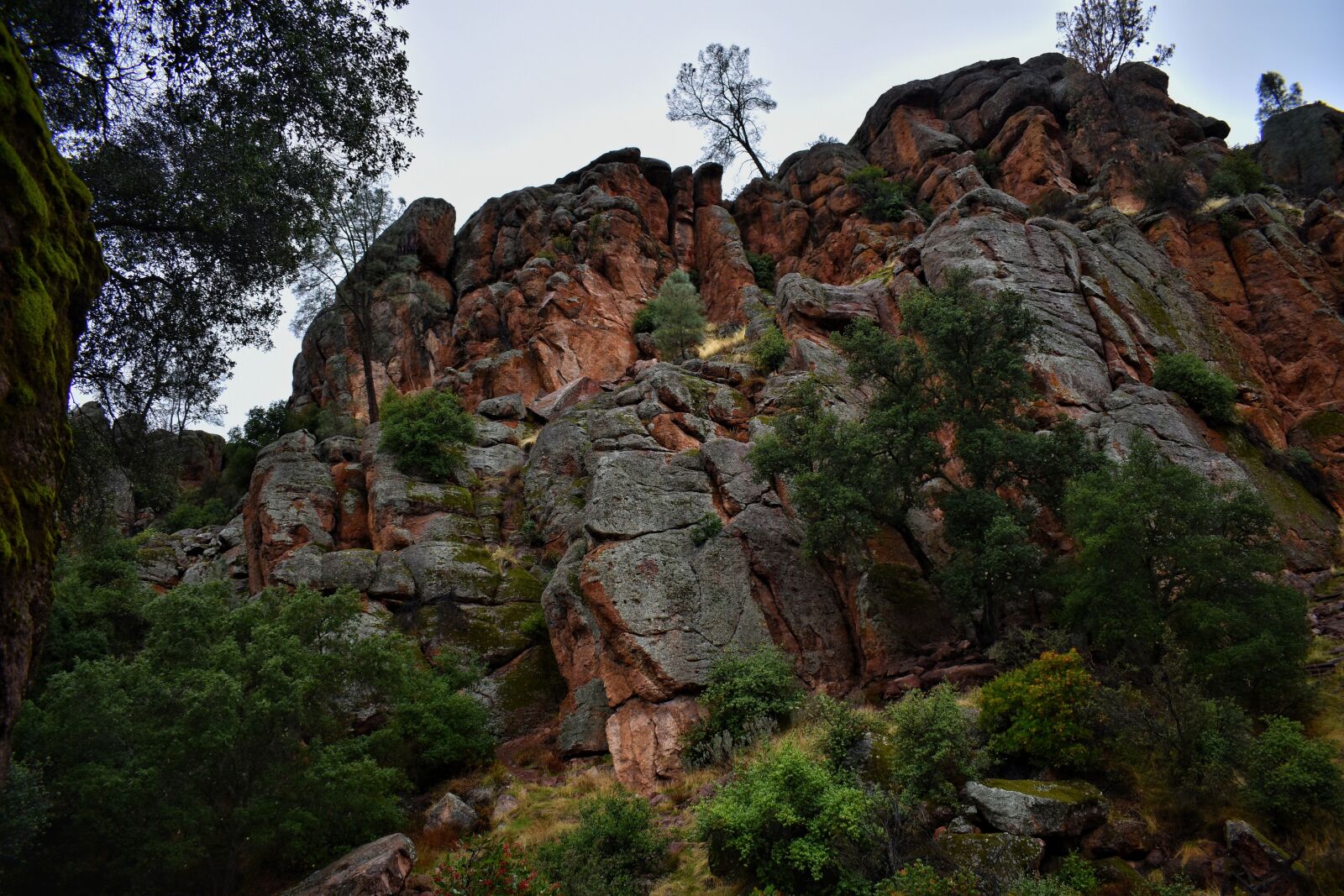 Nikon D3400 sample photo