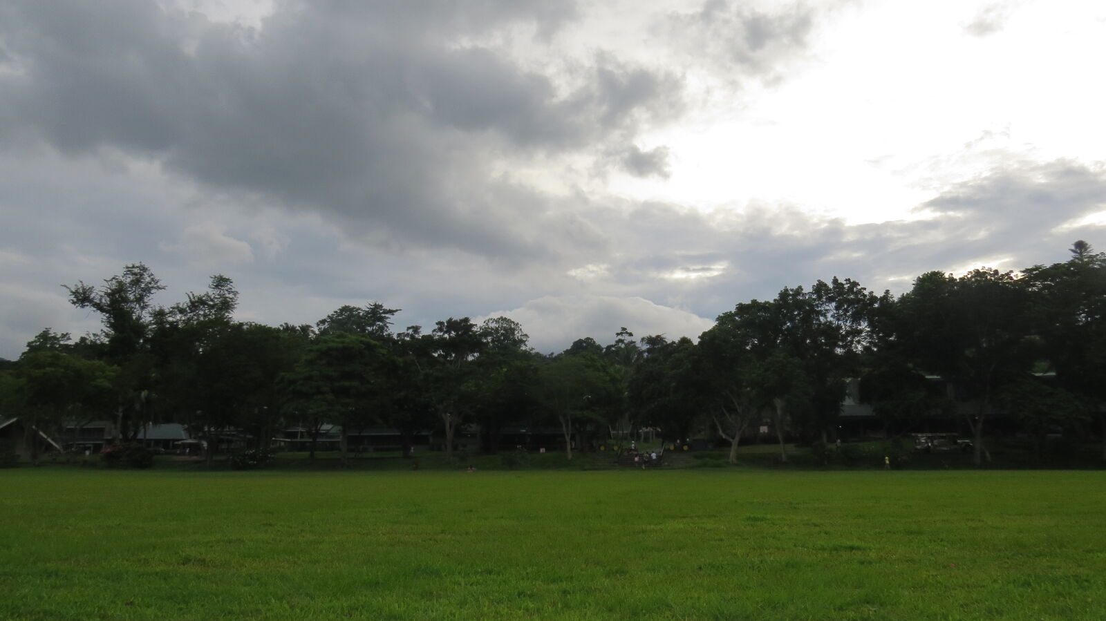 Canon PowerShot SX50 HS sample photo. Grass, sky photography