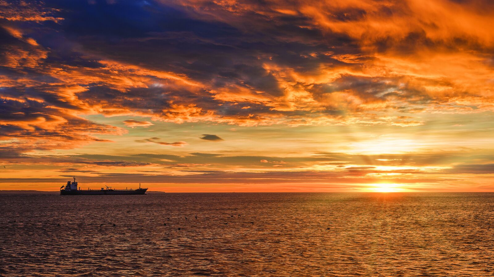 Nikon D750 sample photo. Spring, boat, to photography