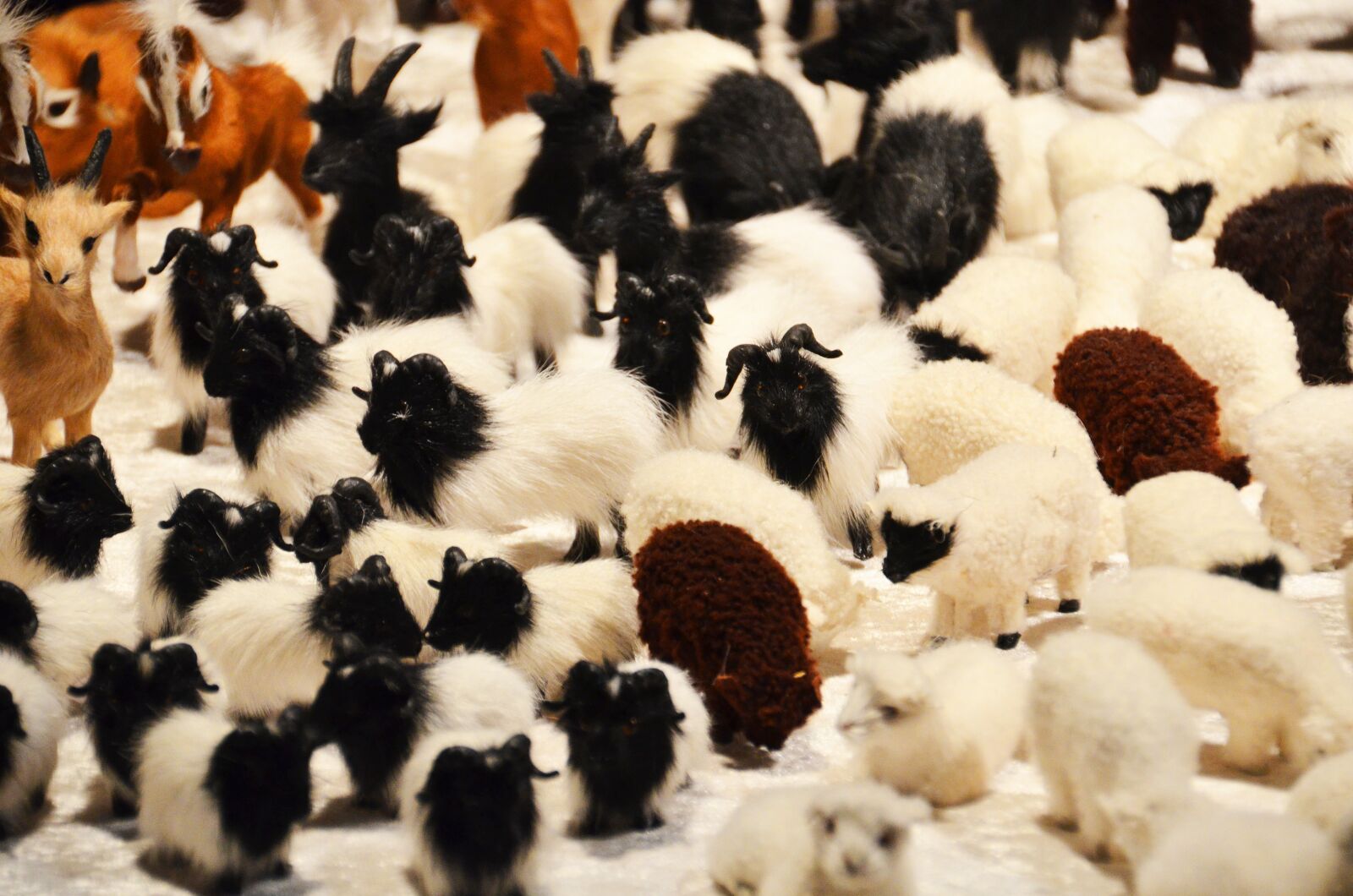 Nikon D7000 sample photo. Sheep, stuffed animal, purry photography
