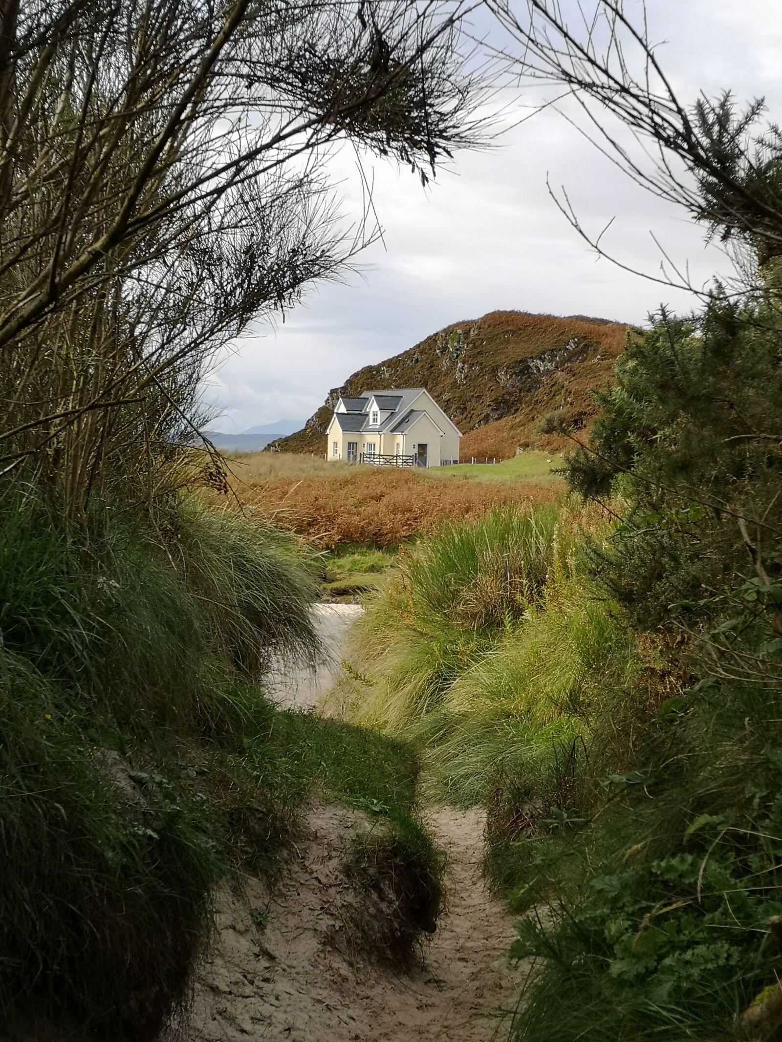 HUAWEI CLT-L29 sample photo. Beach, dune, island photography