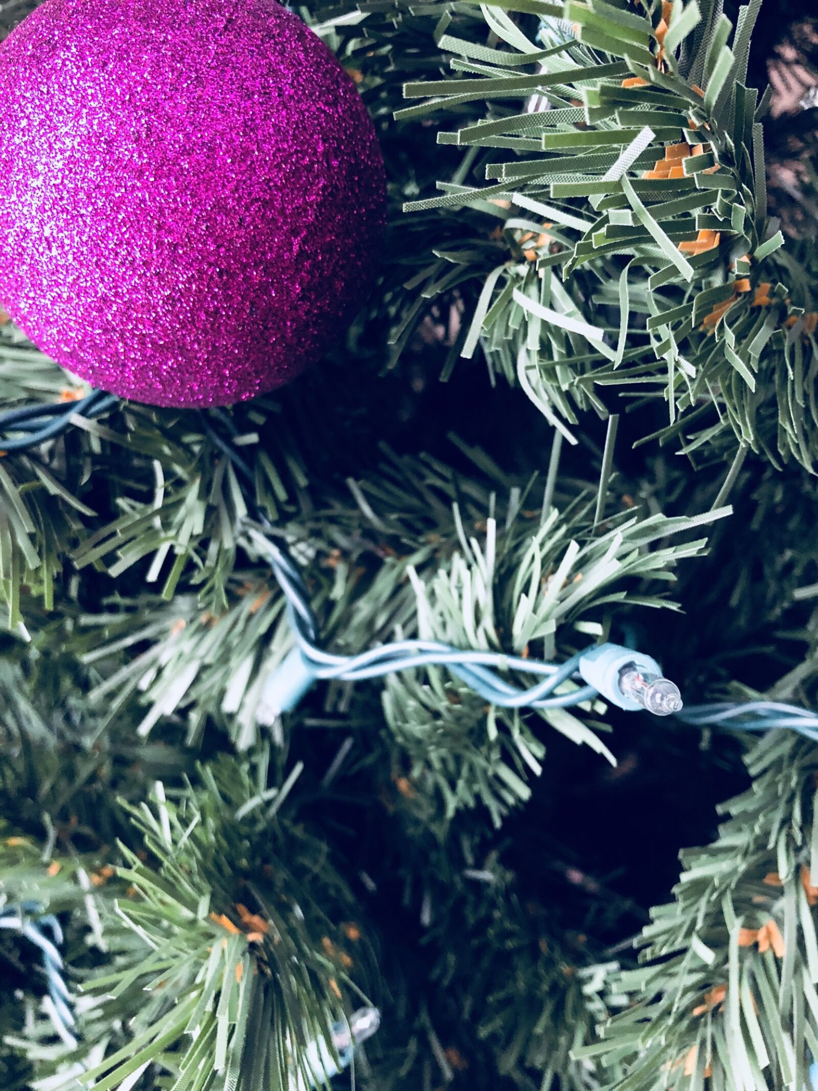 iPhone 8 back camera 3.99mm f/1.8 sample photo