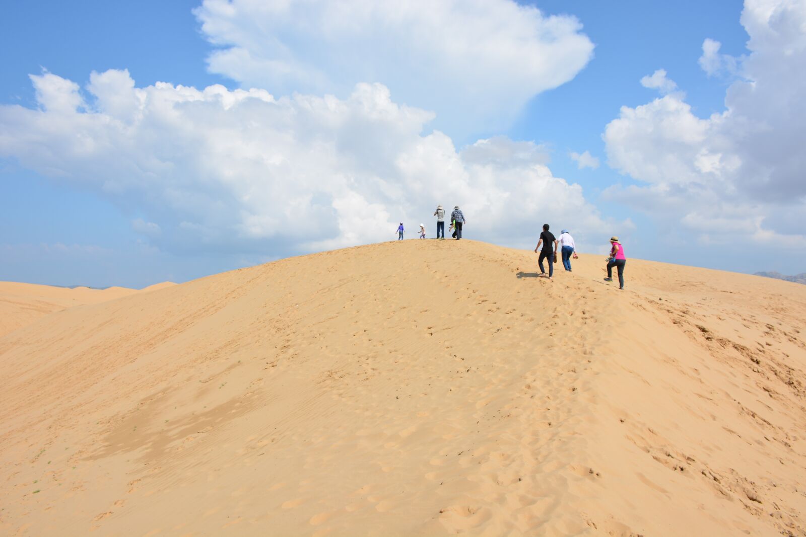 Nikon D7100 sample photo. Dune, gobi, mongolia photography
