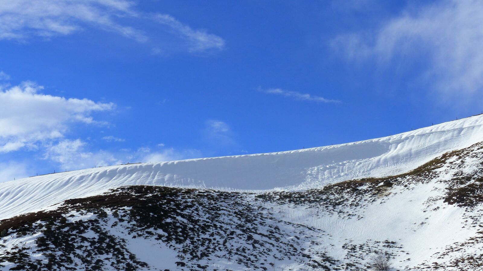 Panasonic Lumix DMC-FZ200 sample photo. Snow, nature, winter photography