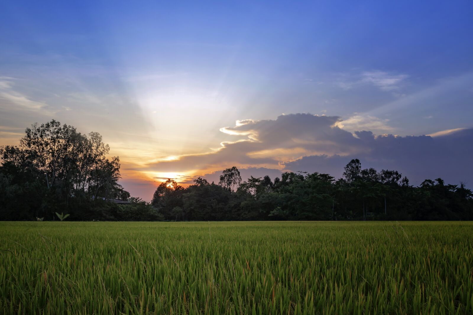 Tamron SP AF 17-50mm F2.8 XR Di II LD Aspherical (IF) sample photo. Vietnam, landscape, beautiful photography