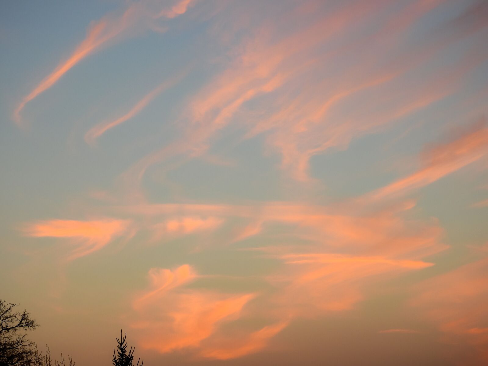 Nikon Coolpix P900 sample photo. Sky, mood, wallpaper photography