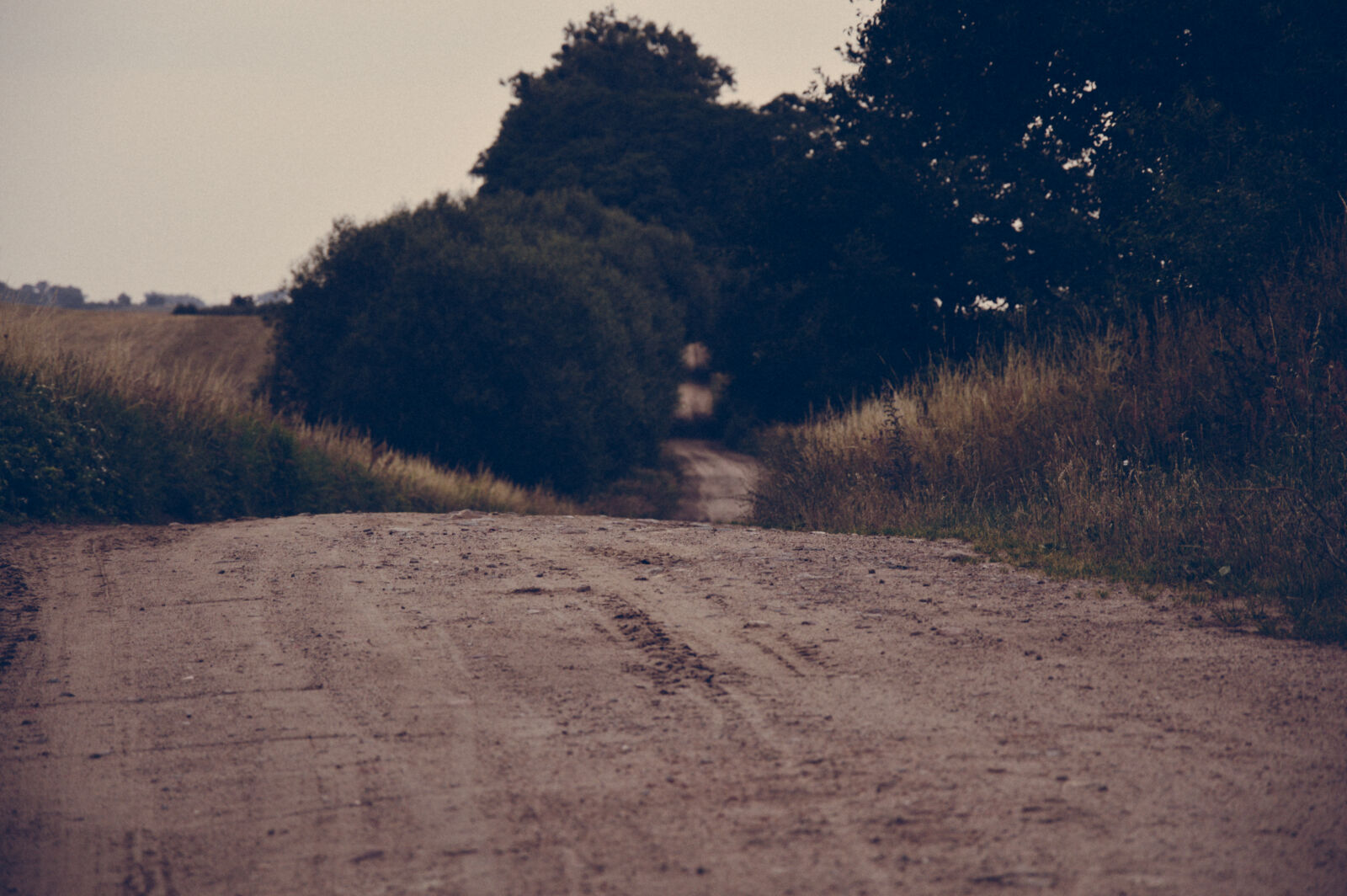 Nikon D3200 sample photo. Road photography