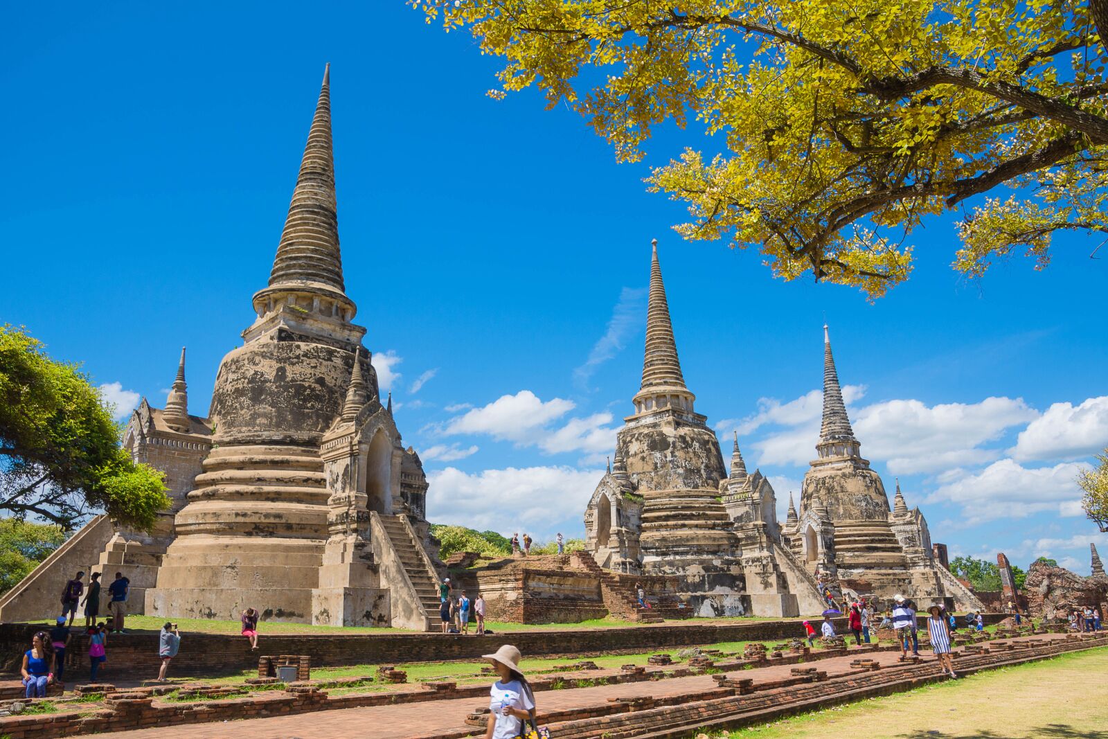 Nikon D7200 sample photo. Measure, ayutthaya, ayutthaya old photography