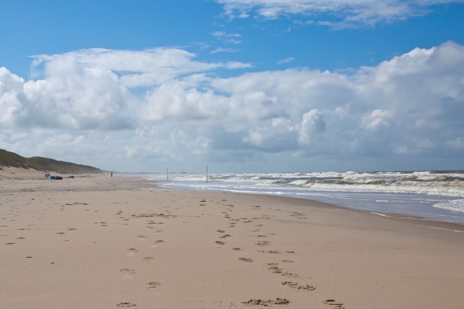 Canon EOS 50D sample photo. Wave, beach, sand photography