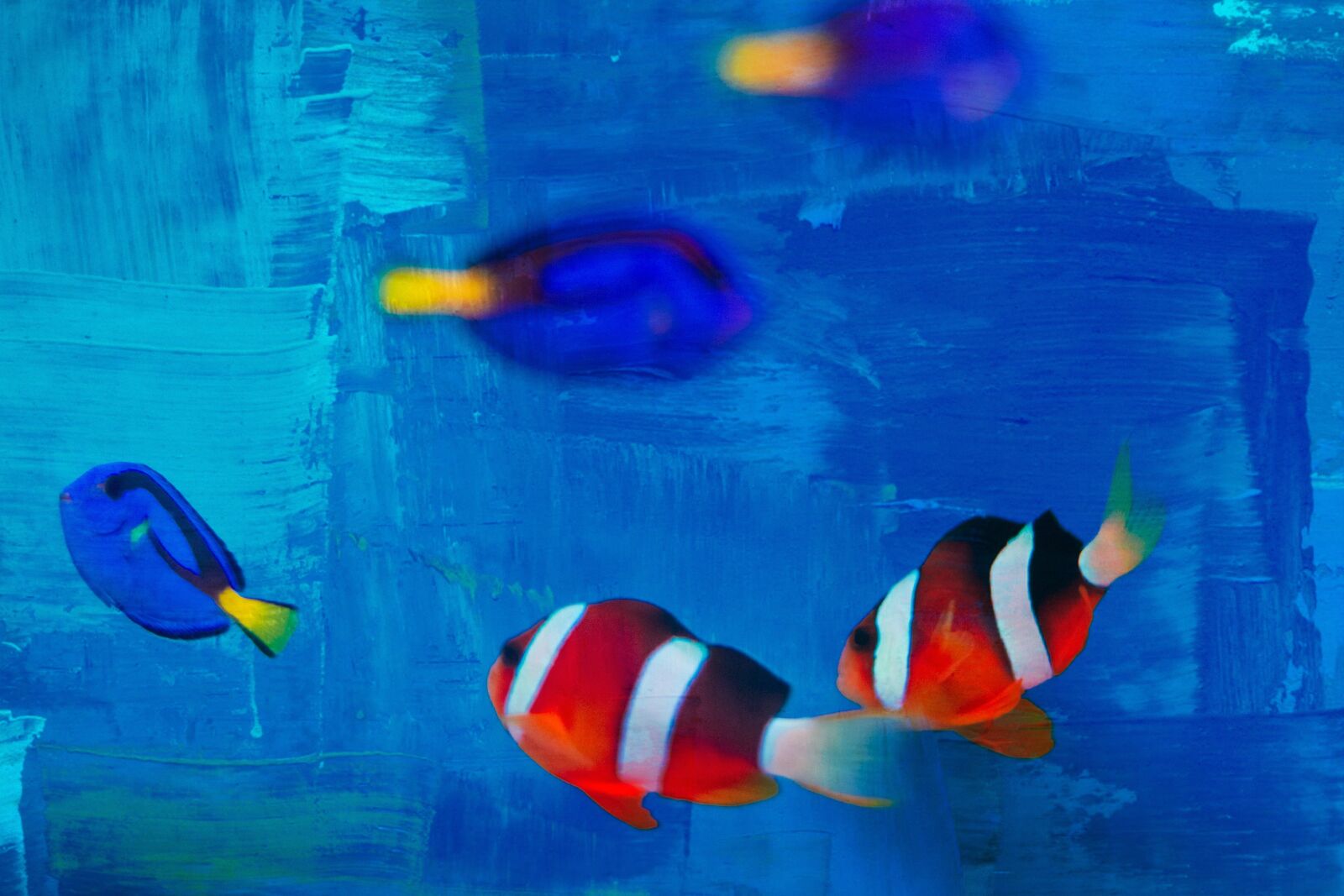 Canon EOS 7D + Canon EF 50mm F1.8 II sample photo. Small fish, fish, striped photography