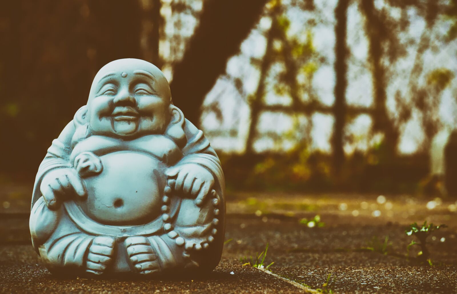 Nikon D3200 sample photo. Buddha, figure, meditation photography