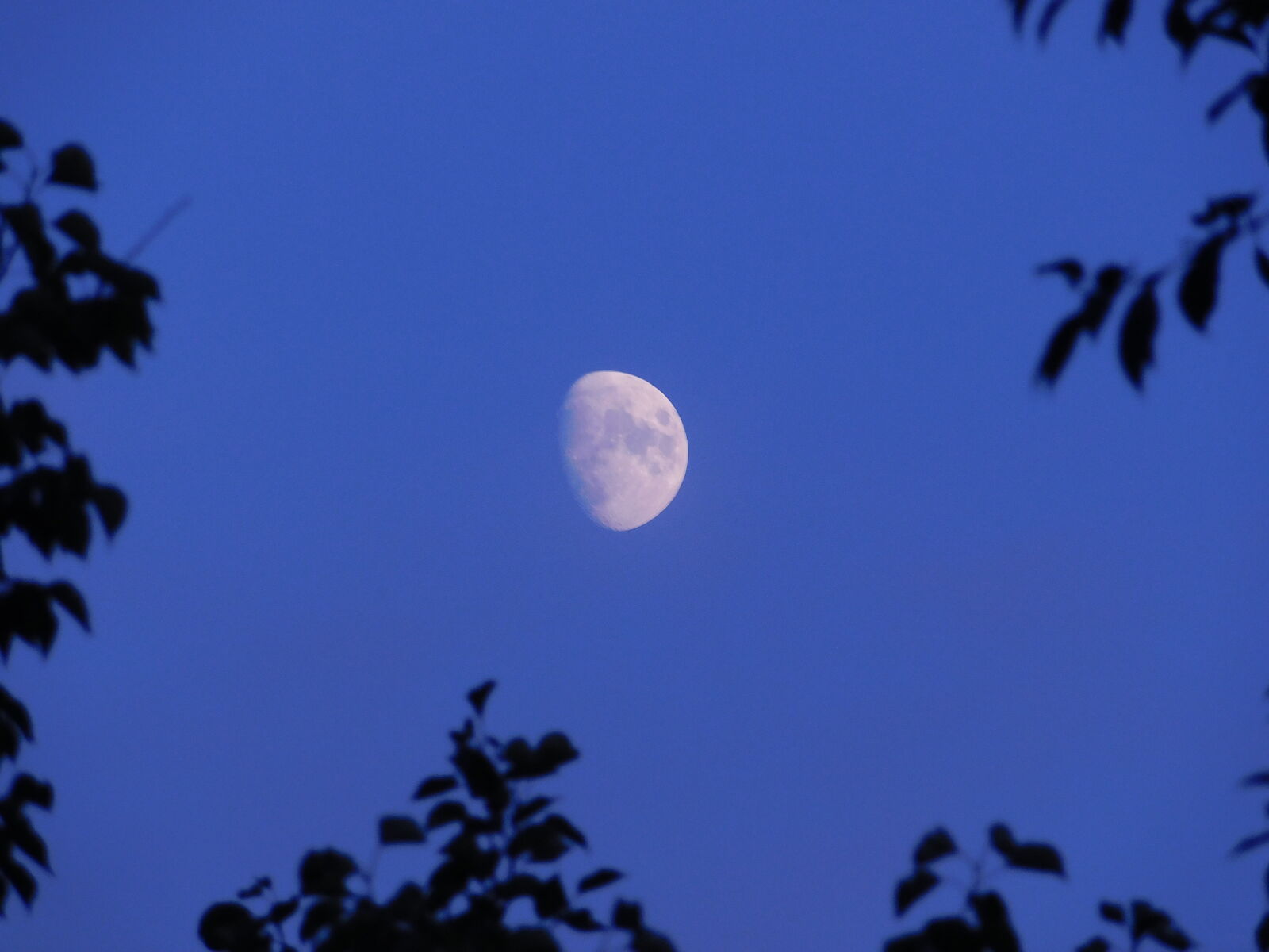 Nikon Coolpix L840 sample photo