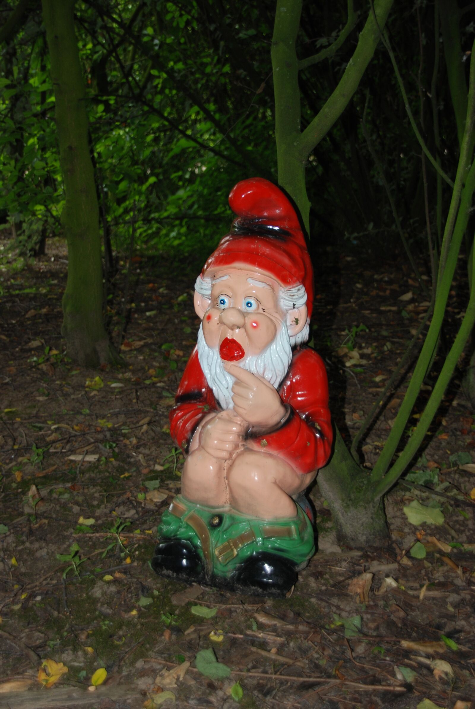Nikon D80 sample photo. Gnome, garden gnome, wc photography