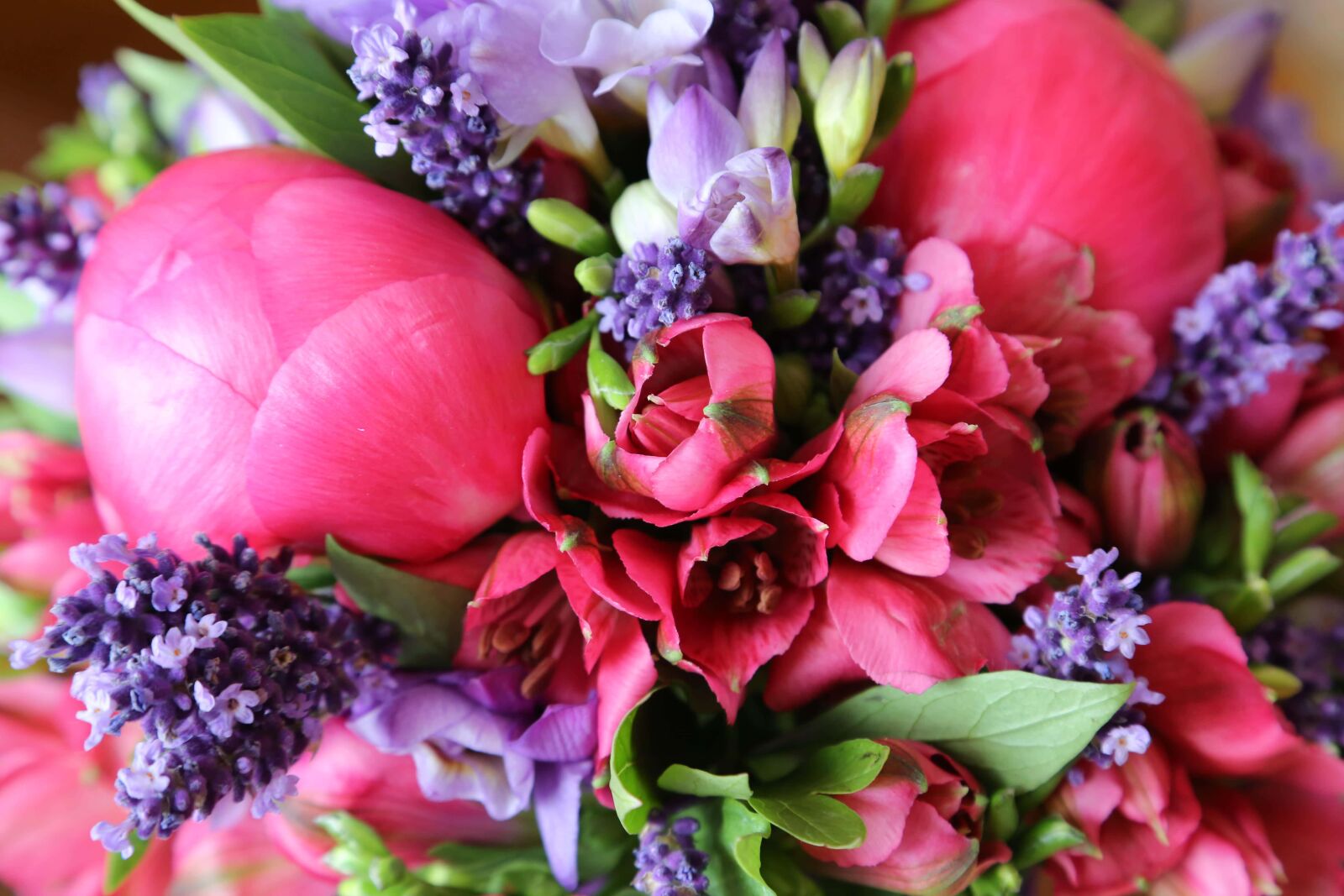 Canon EF 24-105mm F4L IS USM sample photo. Roses, grape hyacinth, tulips photography
