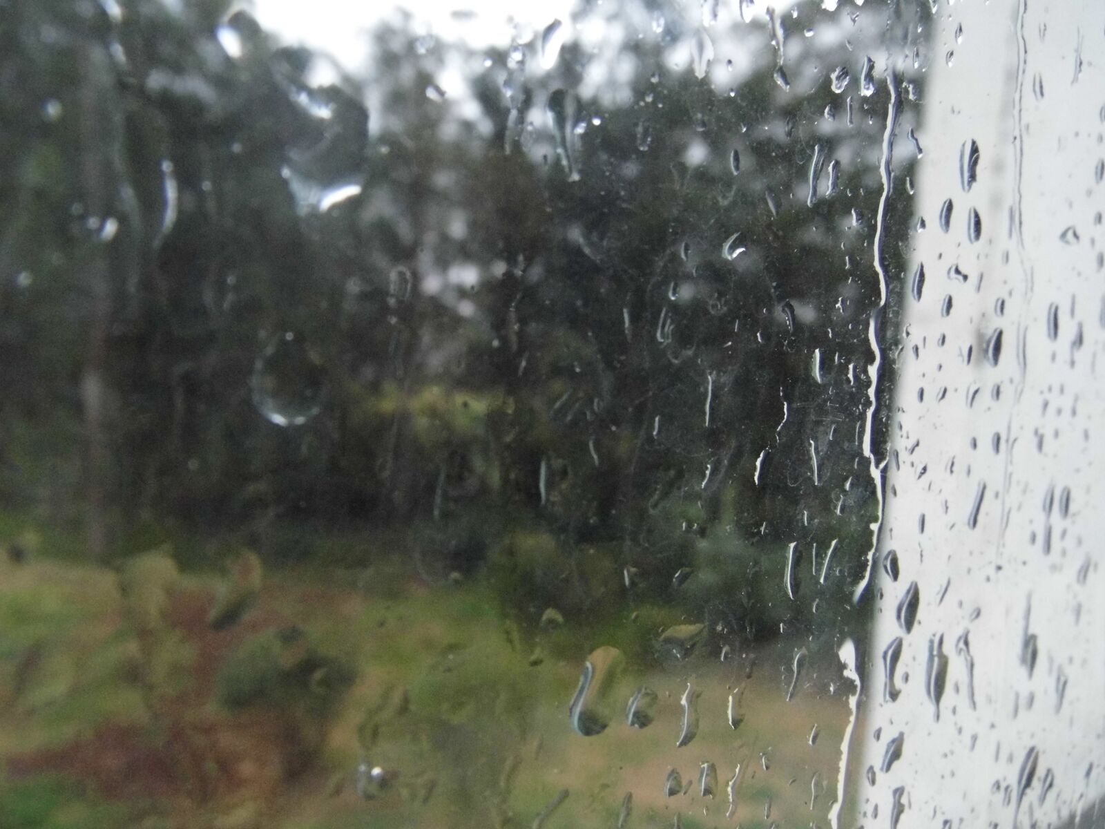 Panasonic Lumix DMC-LZ30 sample photo. Rain, window, drops photography