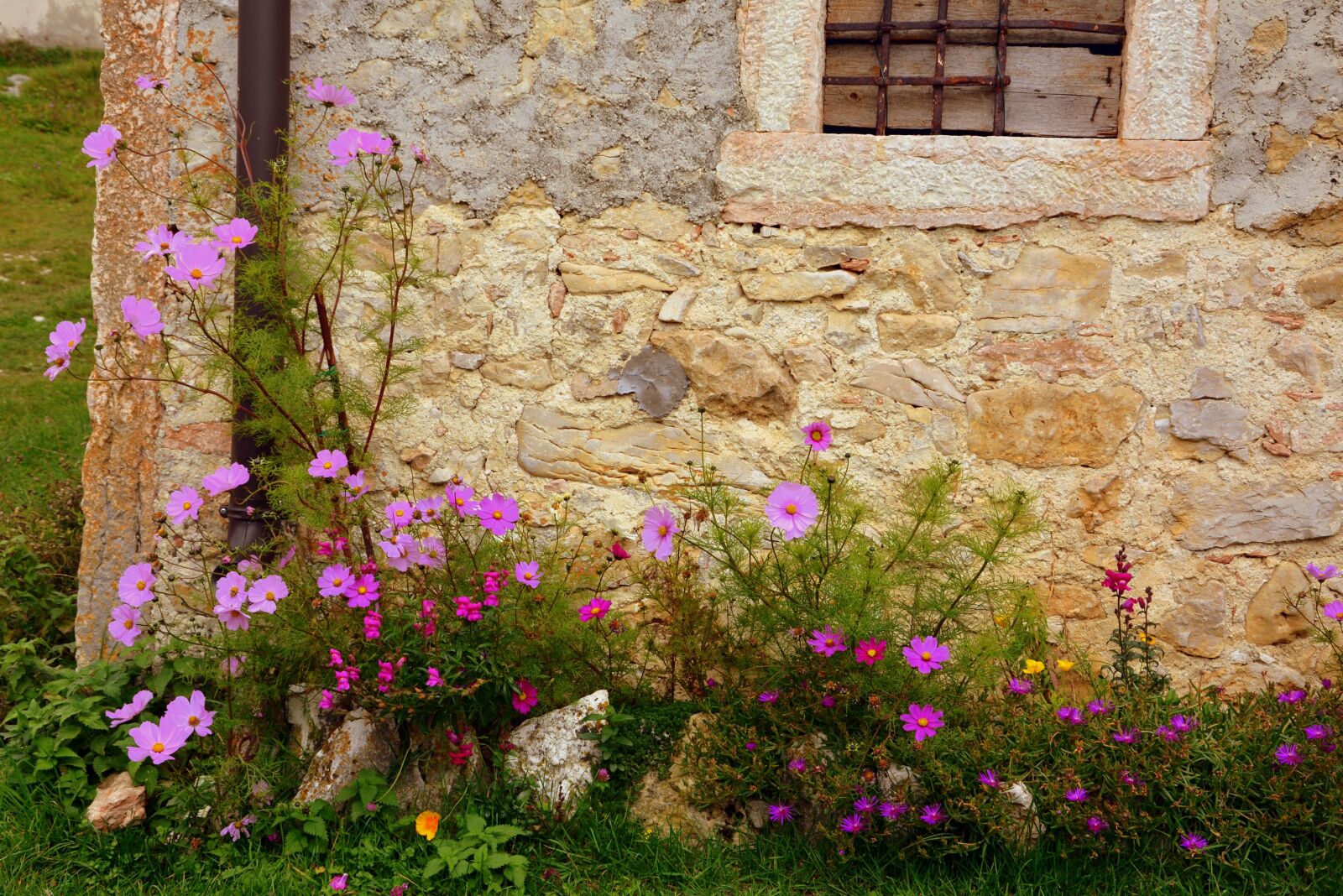 Nikon D7100 sample photo. Corner, house, flowers photography