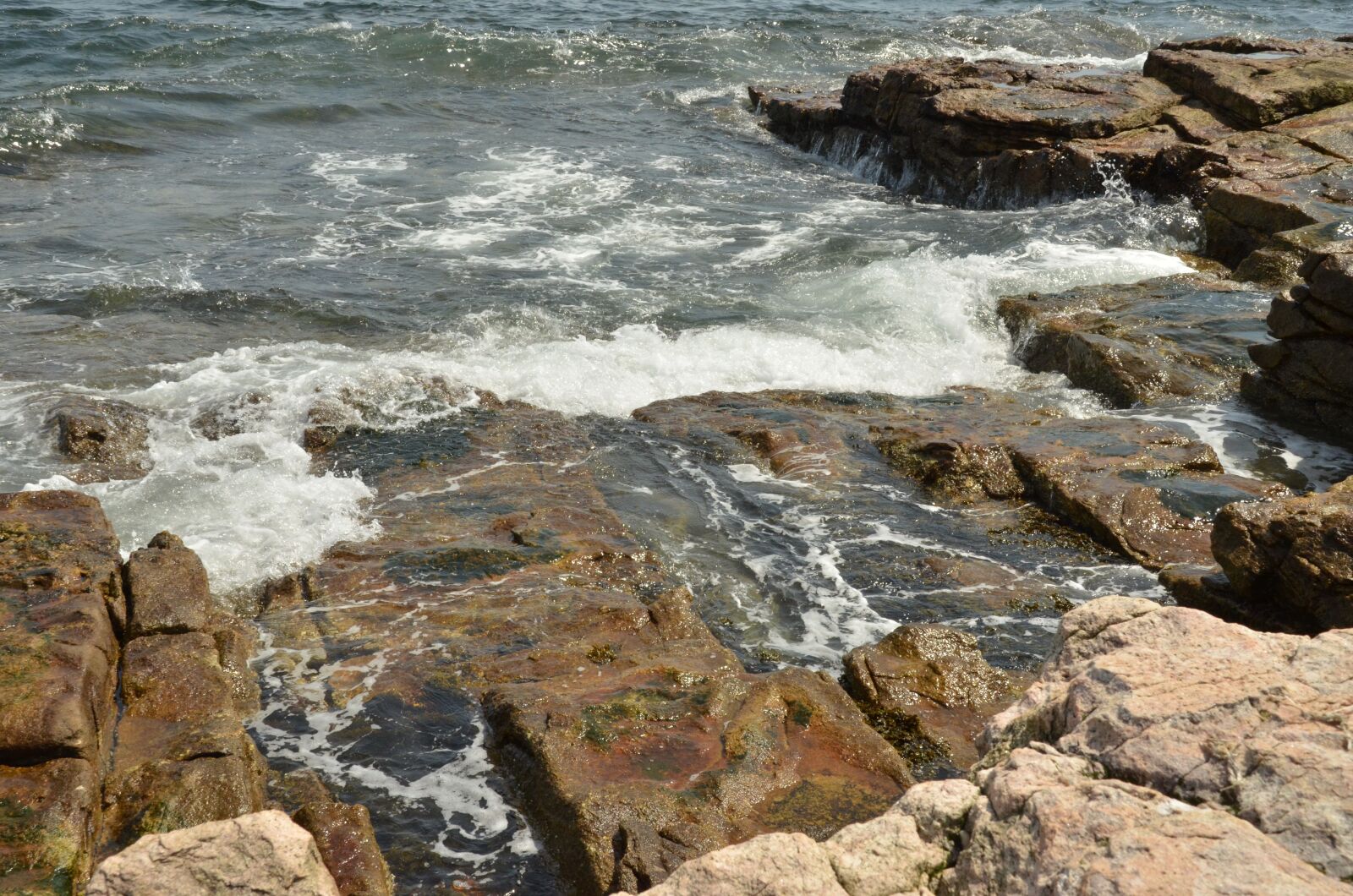 Nikon D7000 sample photo. America, acadia national park photography