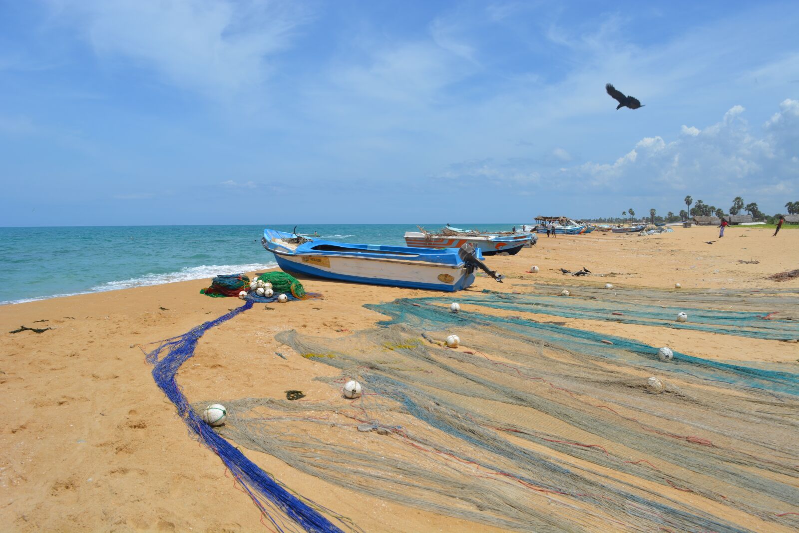 Nikon D5200 sample photo. Beach, fishing net, clear photography