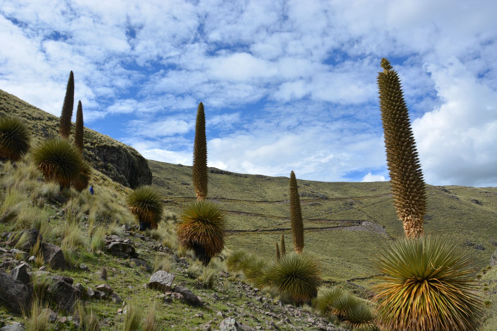 Nikon D7100 sample photo. Lugar tur stico, poya photography