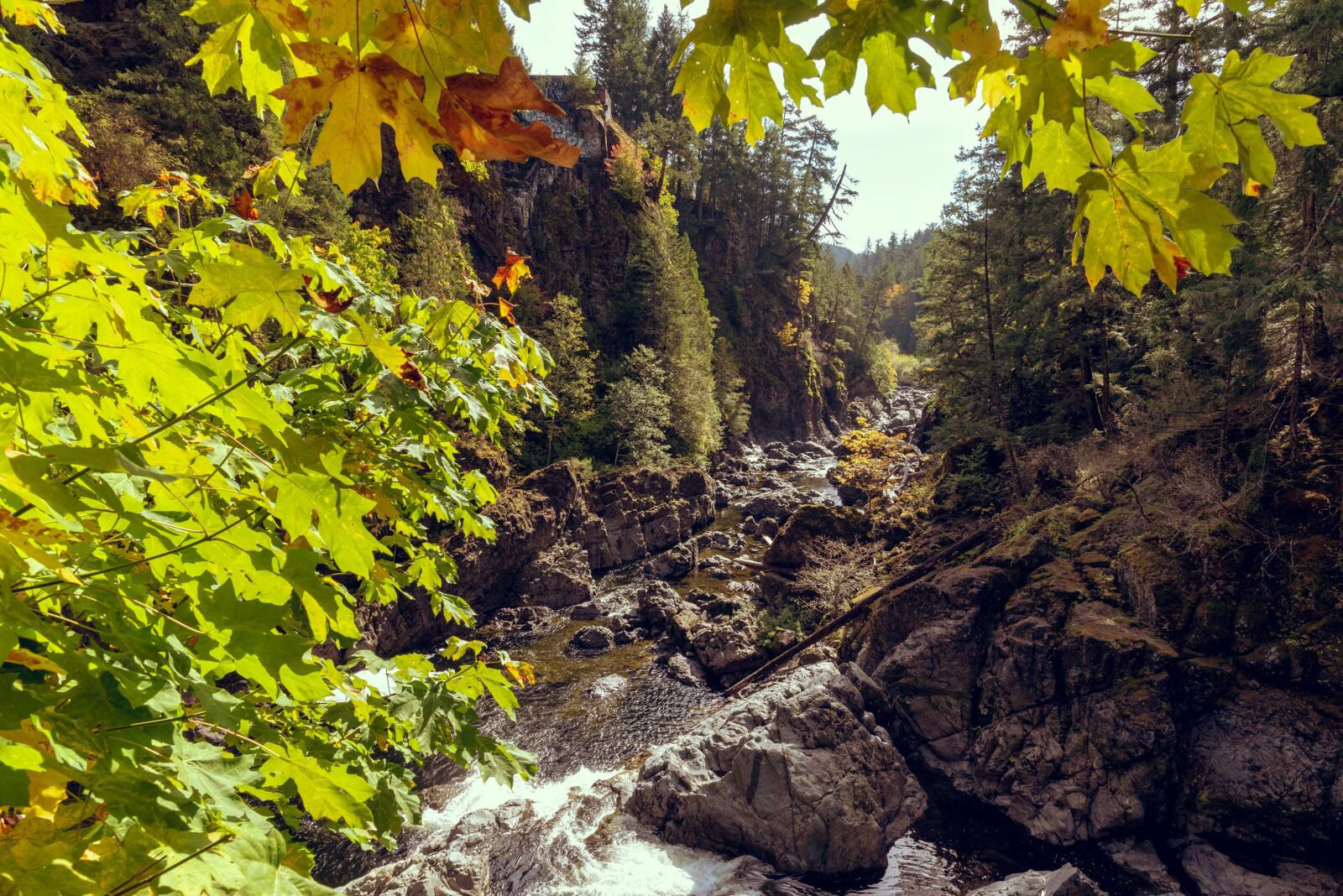 Nikon D750 sample photo. Creek, fall, river photography