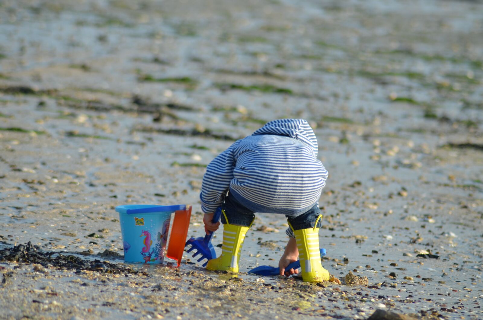 Nikon D5100 sample photo. Child, beach, marin photography