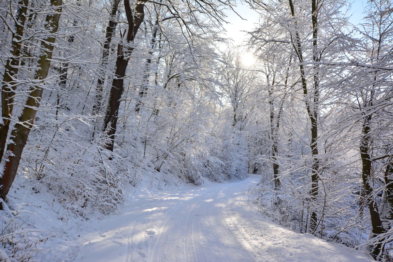 Nikon D5200 sample photo. Winter, away, snow photography