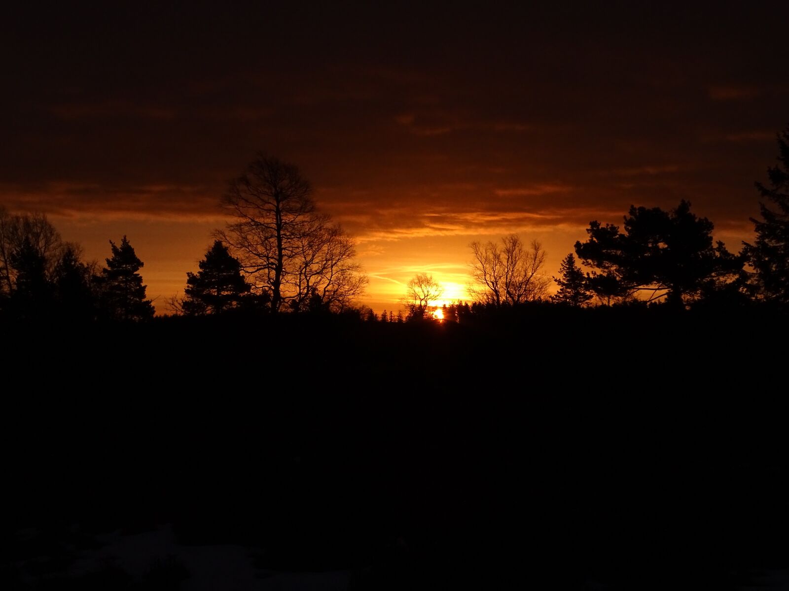 Sony Cyber-shot DSC-HX400V sample photo. Sunrise, nature, morgenstimmung photography