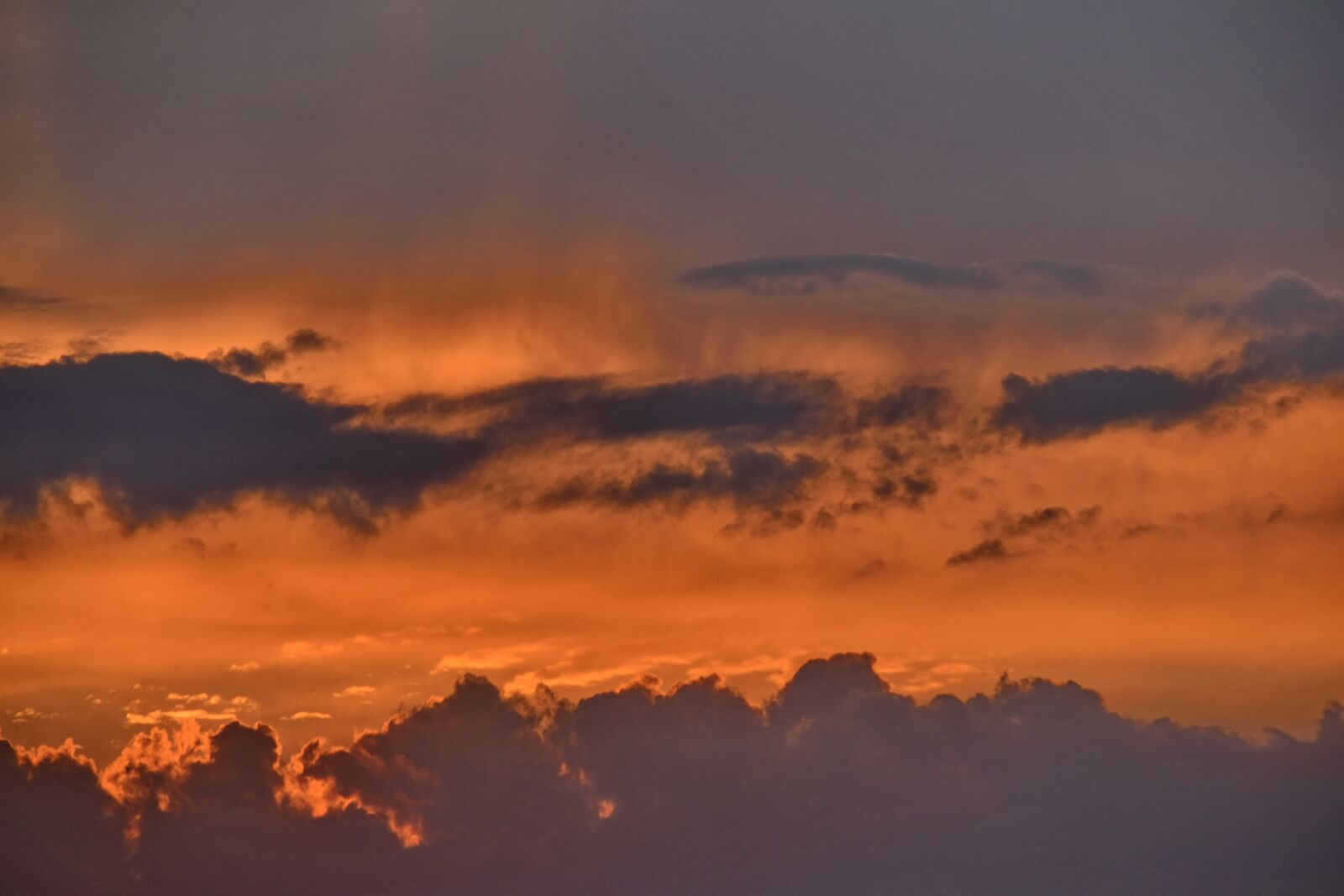 Nikon D5500 sample photo. Backlight, climate, clouds, orange photography
