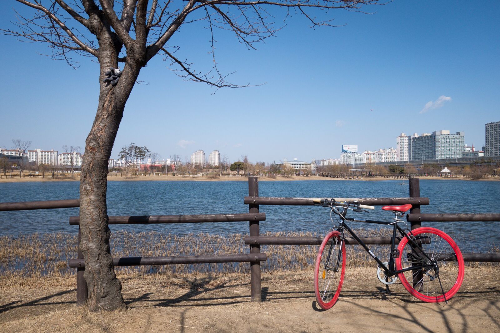Sony Cyber-shot DSC-RX100 II sample photo. Bike, bicycle, wheel photography