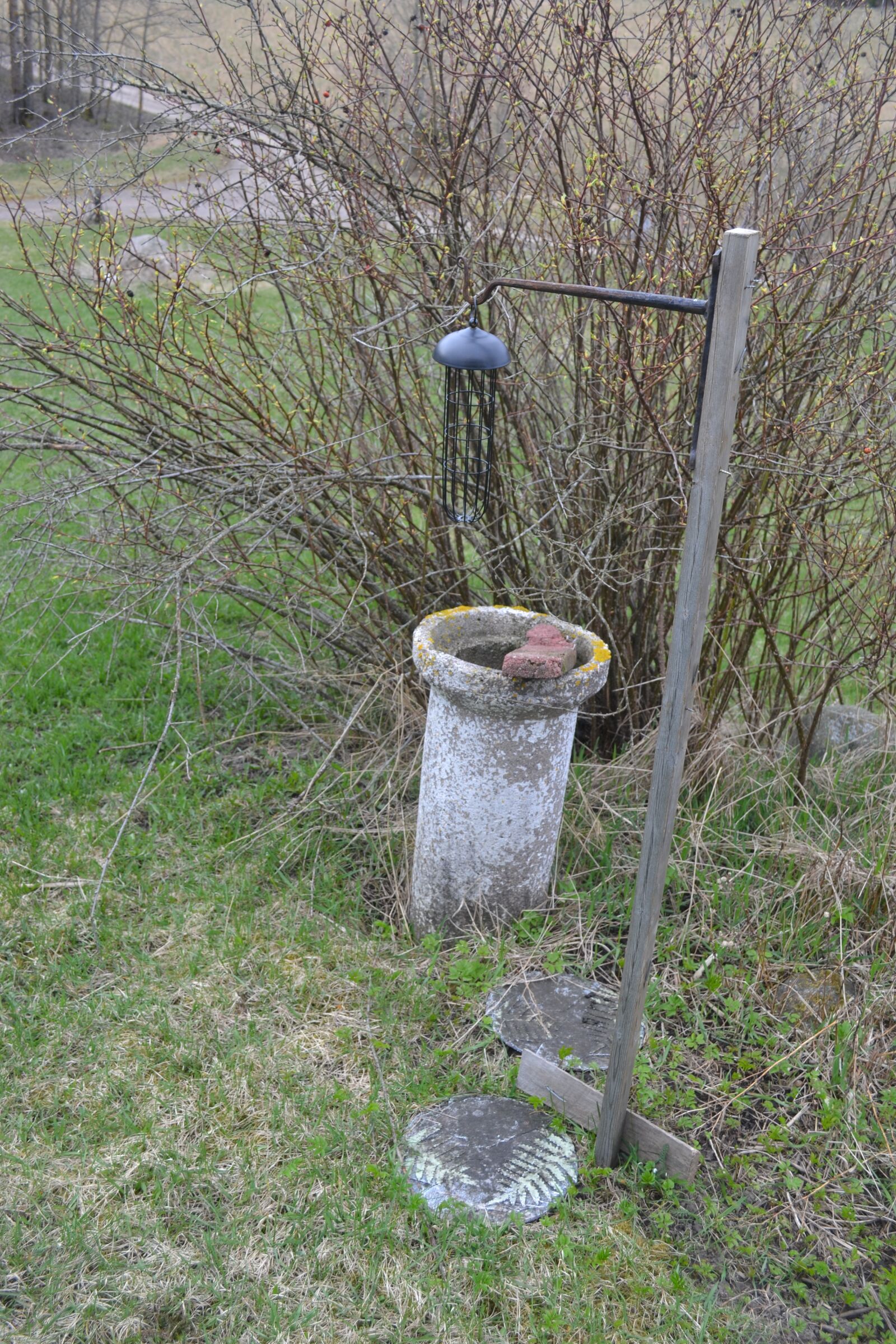 Nikon D3100 sample photo. Feeding, drum, spring photography