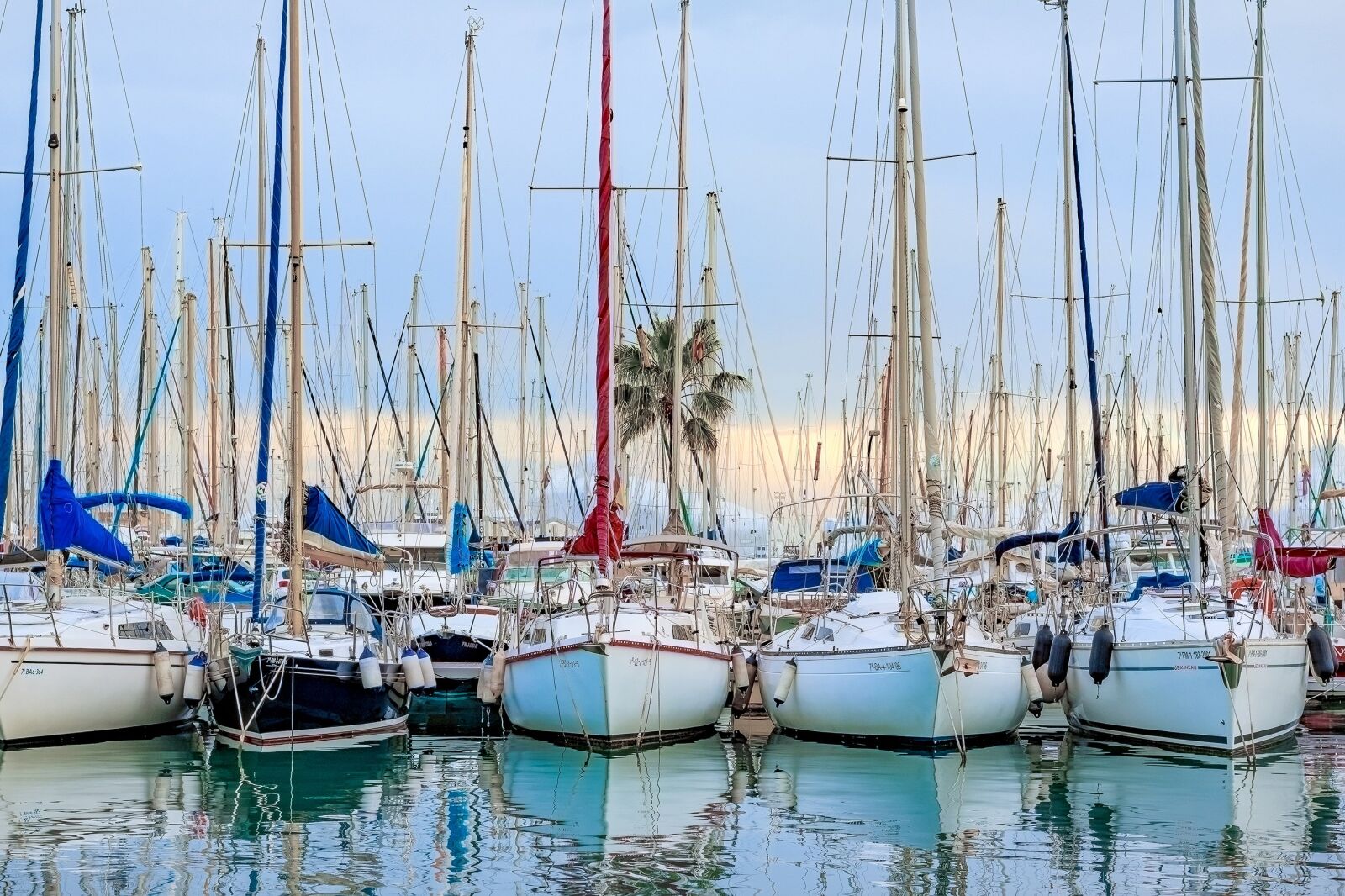 Canon EOS 750D (EOS Rebel T6i / EOS Kiss X8i) sample photo. Mallorca, palma de mallorca photography