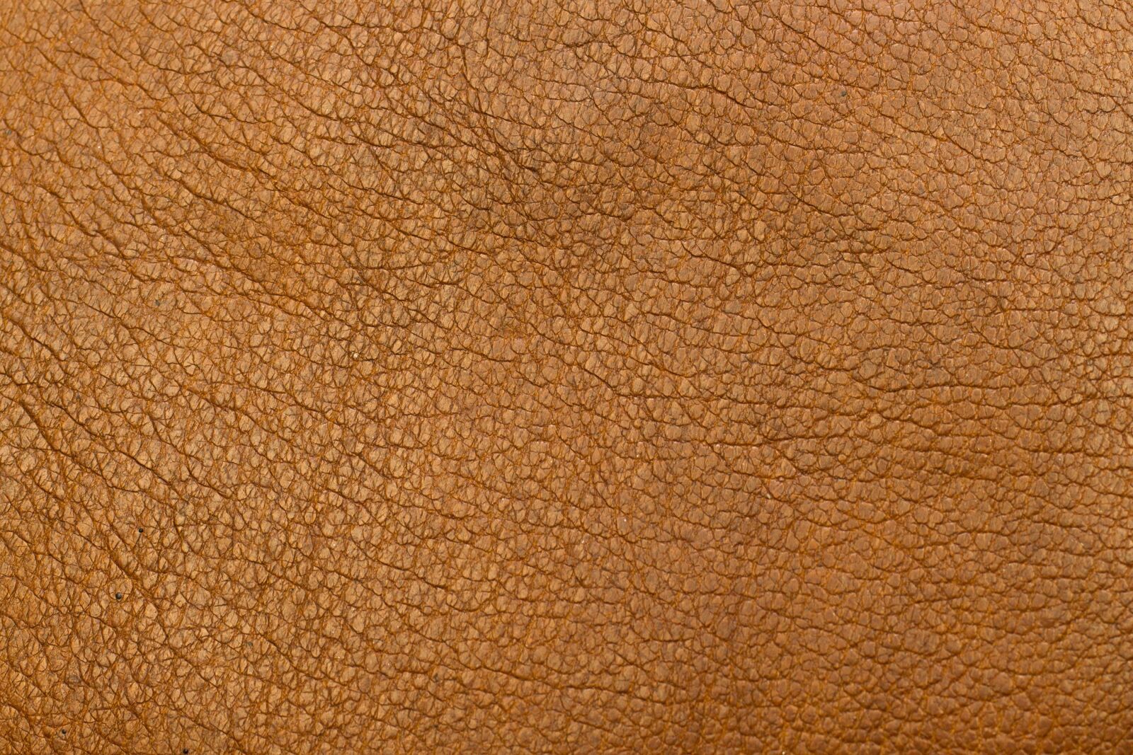 Canon EOS 550D (EOS Rebel T2i / EOS Kiss X4) sample photo. Background, leather, brown photography