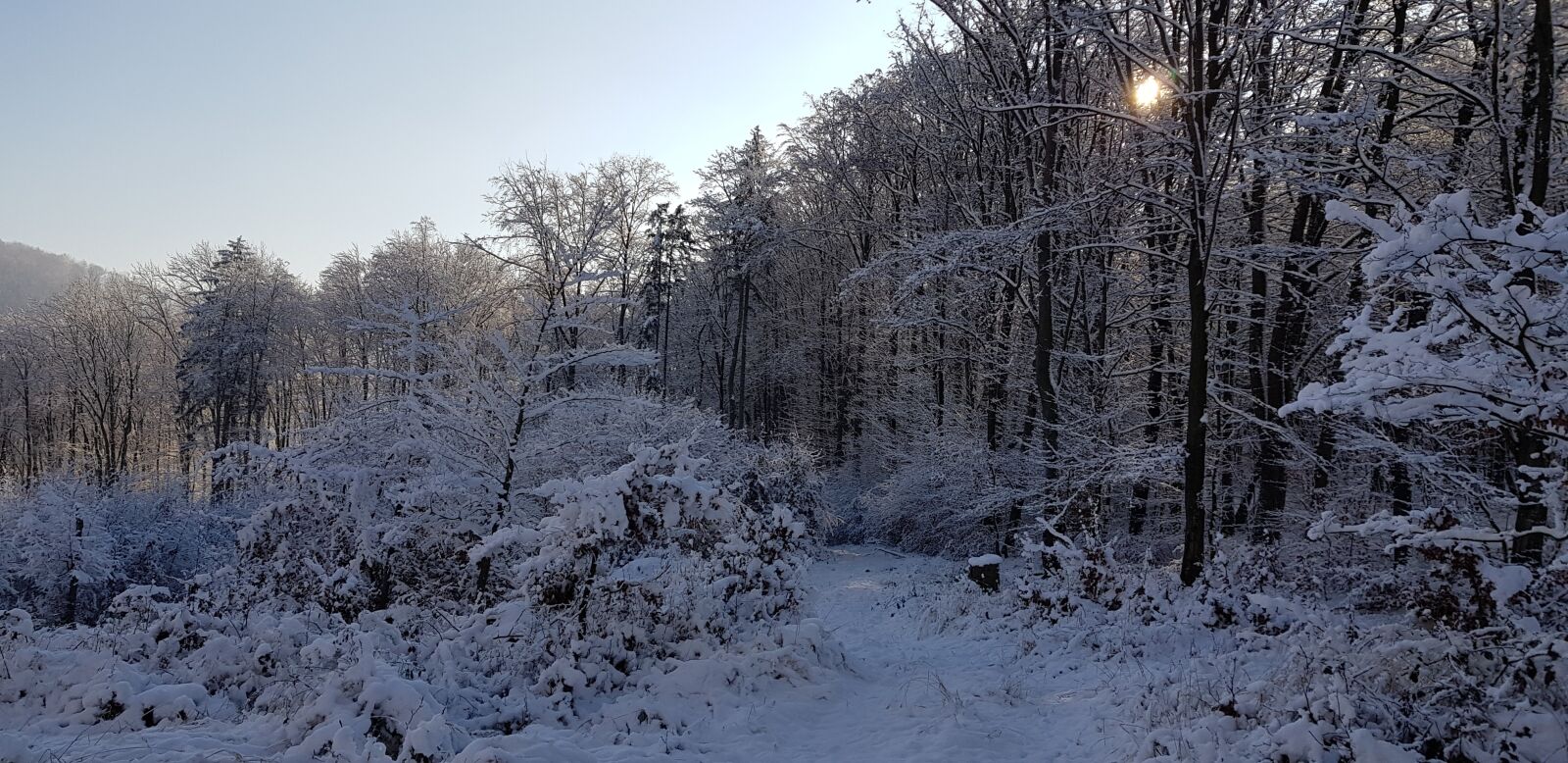 Samsung Galaxy S8 sample photo. Winter, snow, frost photography