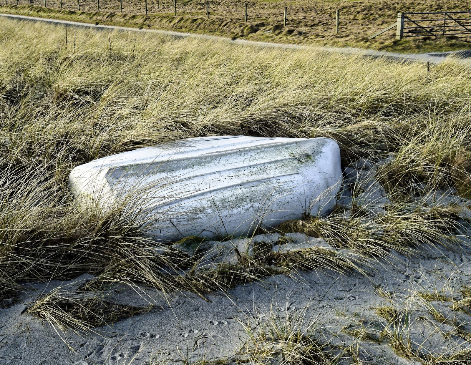 Nikon D3300 sample photo. Boat, grass, farmland photography