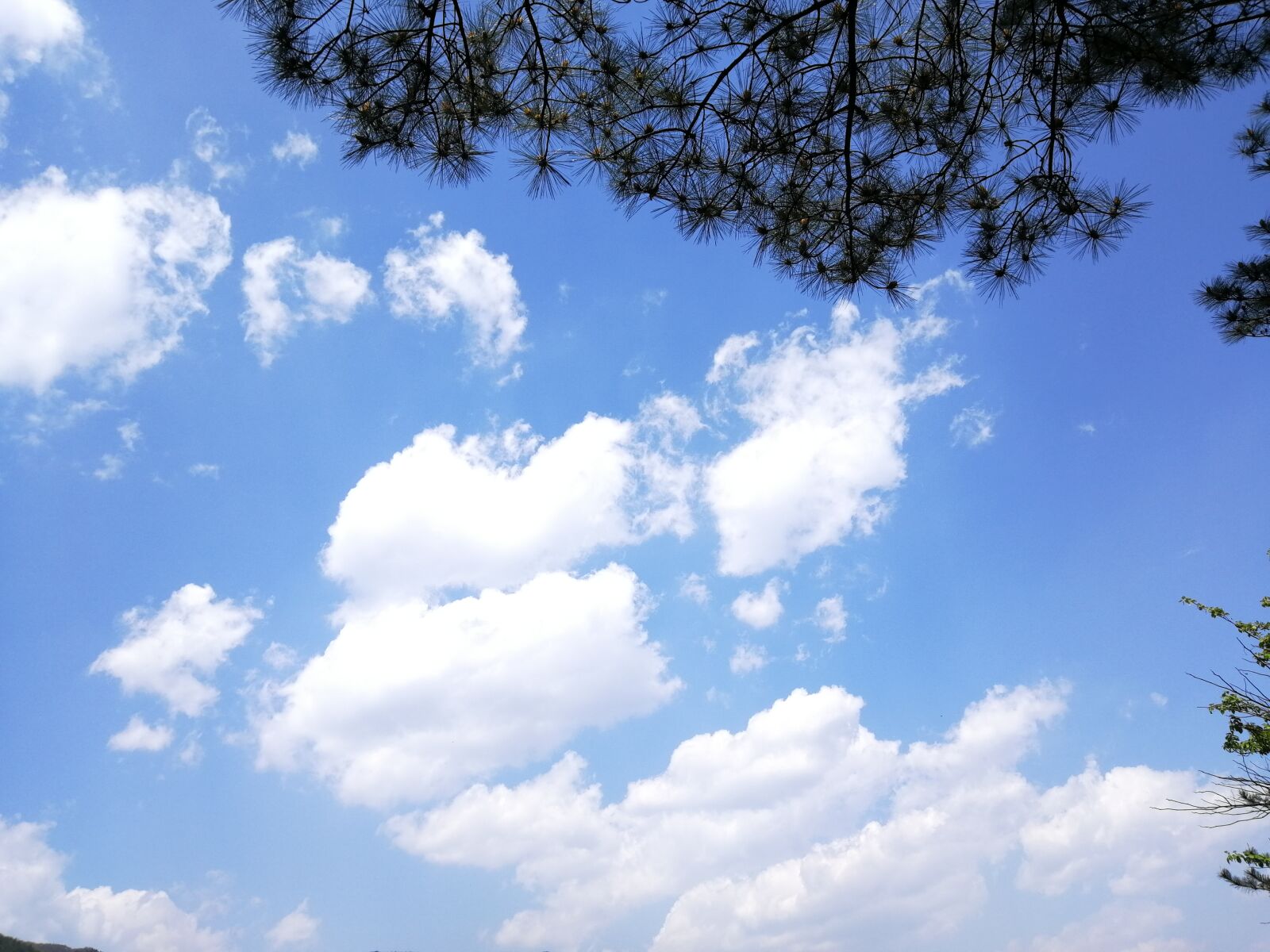 HUAWEI nova 2s sample photo. Blue sky, white cloud photography
