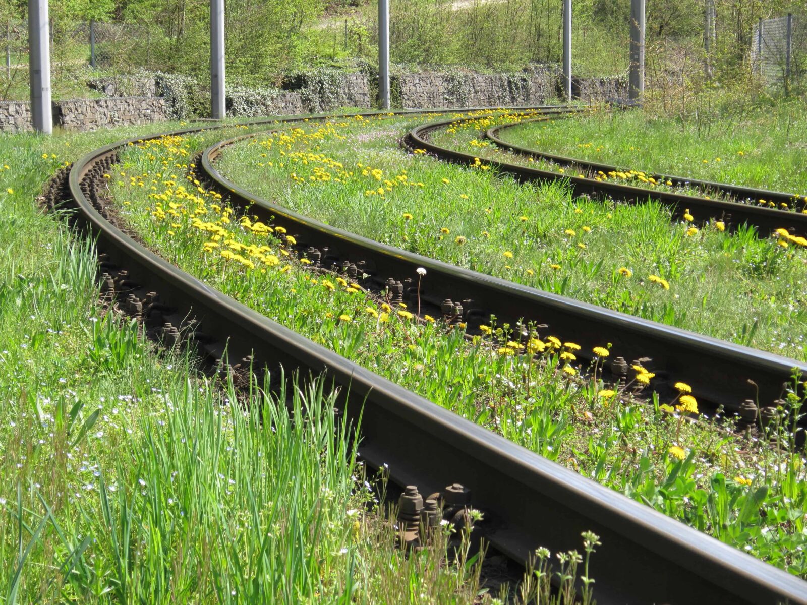 Canon PowerShot A3200 IS sample photo. Railway, metal, grass, transport photography