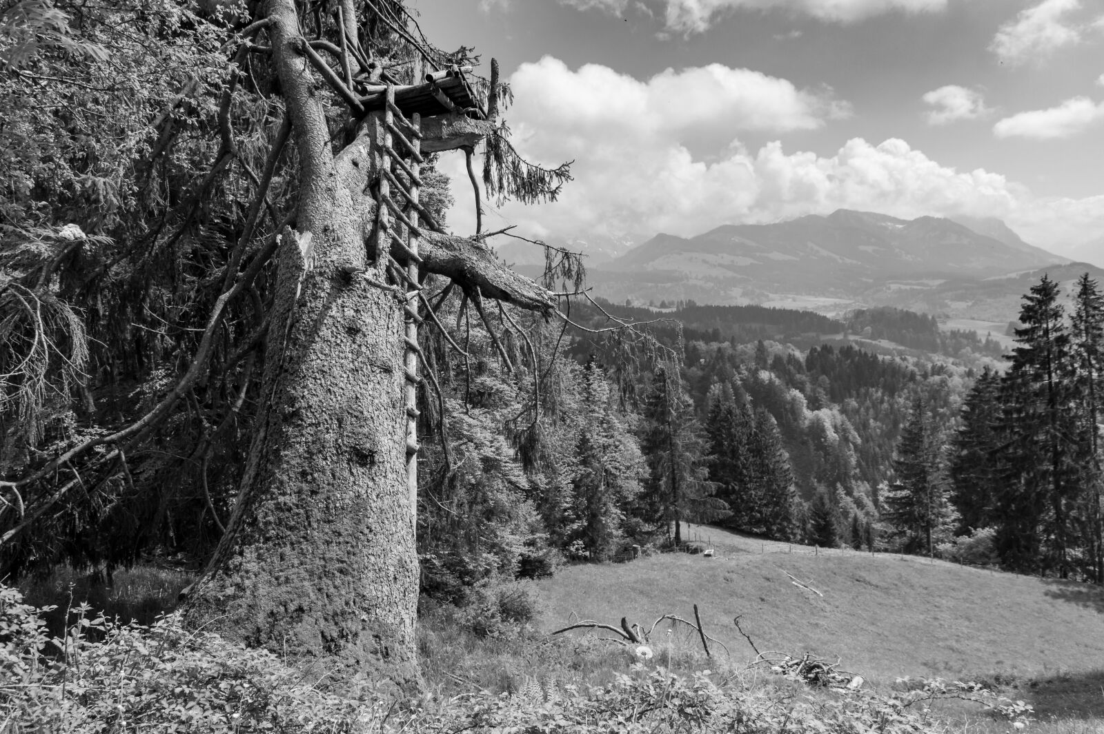 Sony SLT-A58 sample photo. Black and white, mountains photography