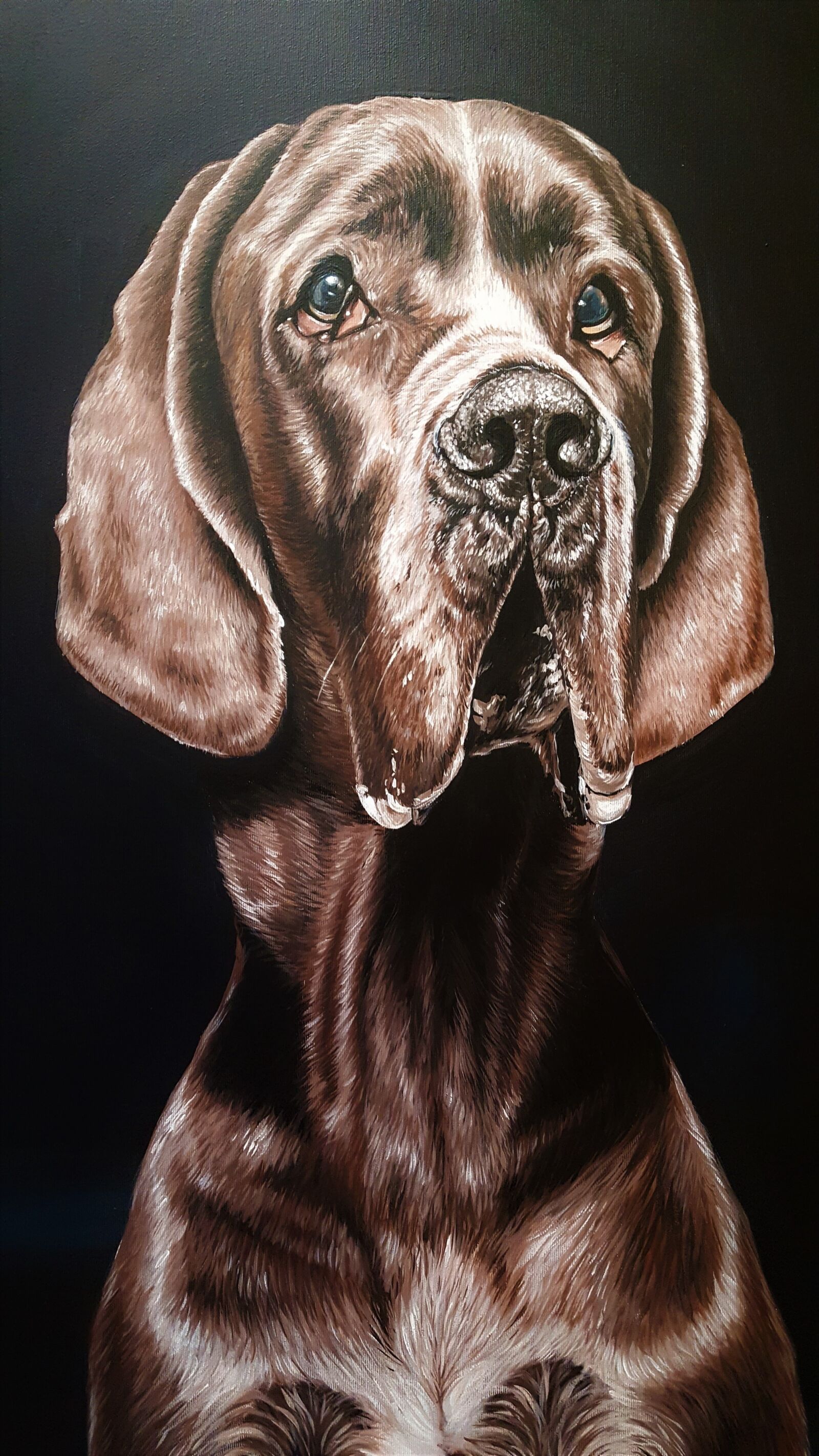 Samsung Galaxy S6 sample photo. Painting, dog, brown photography