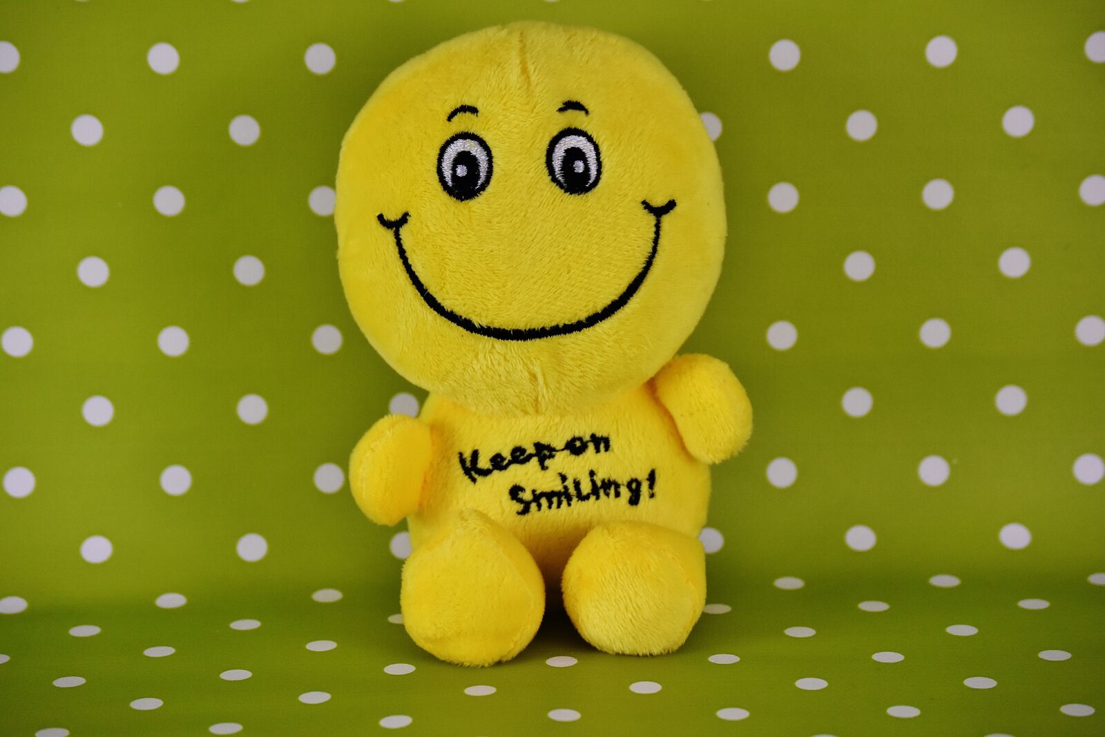 Nikon D7200 sample photo. Smiley, funny, background photography