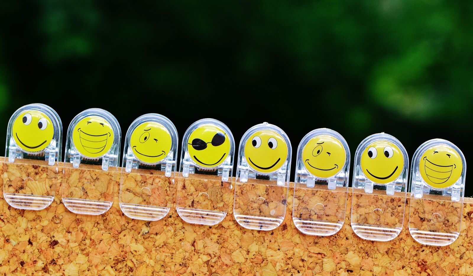 Nikon D3200 sample photo. Smilies, funny, emoticon photography