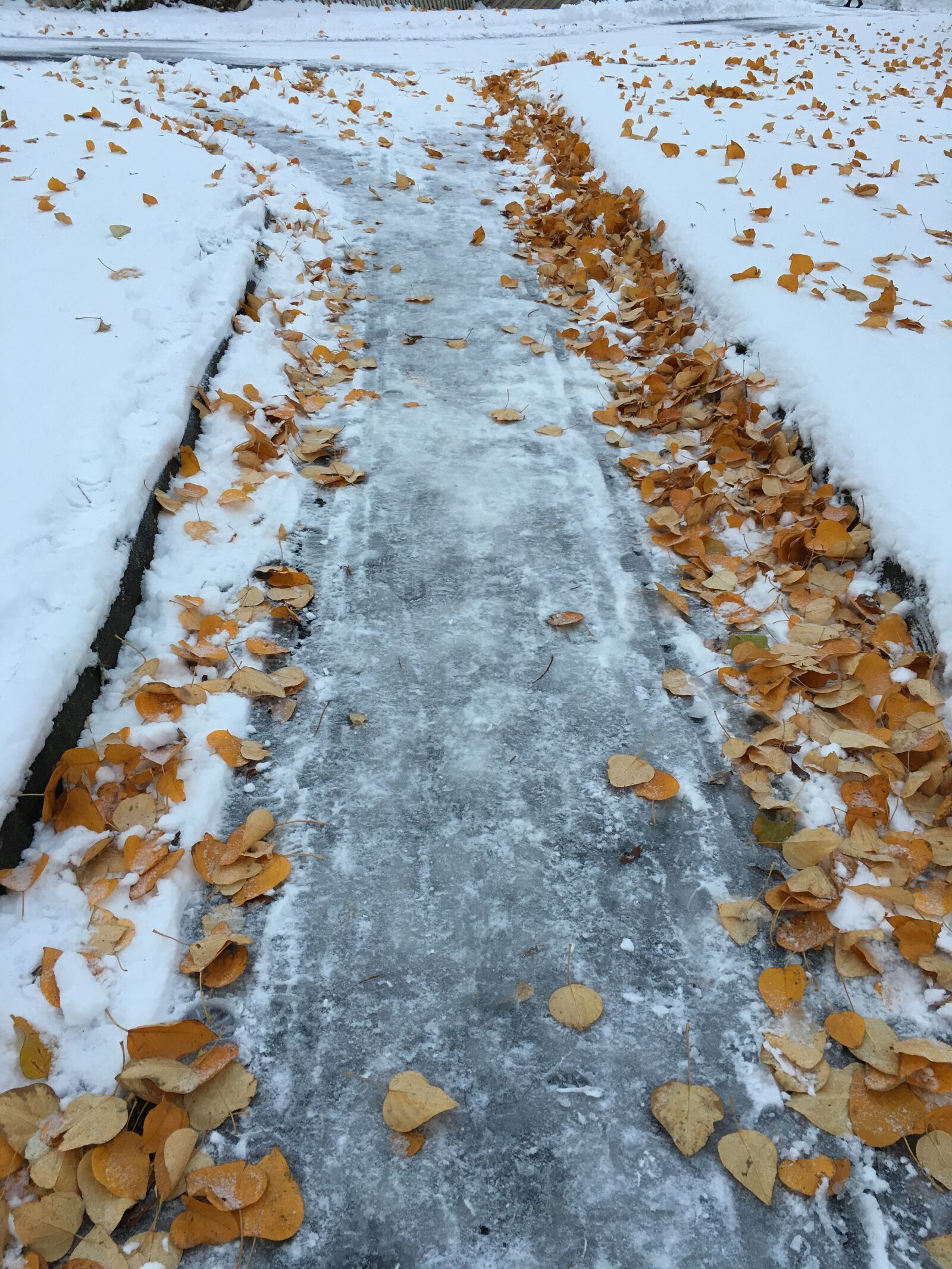 Apple iPhone 6s Plus sample photo. Winter, way, tracks photography