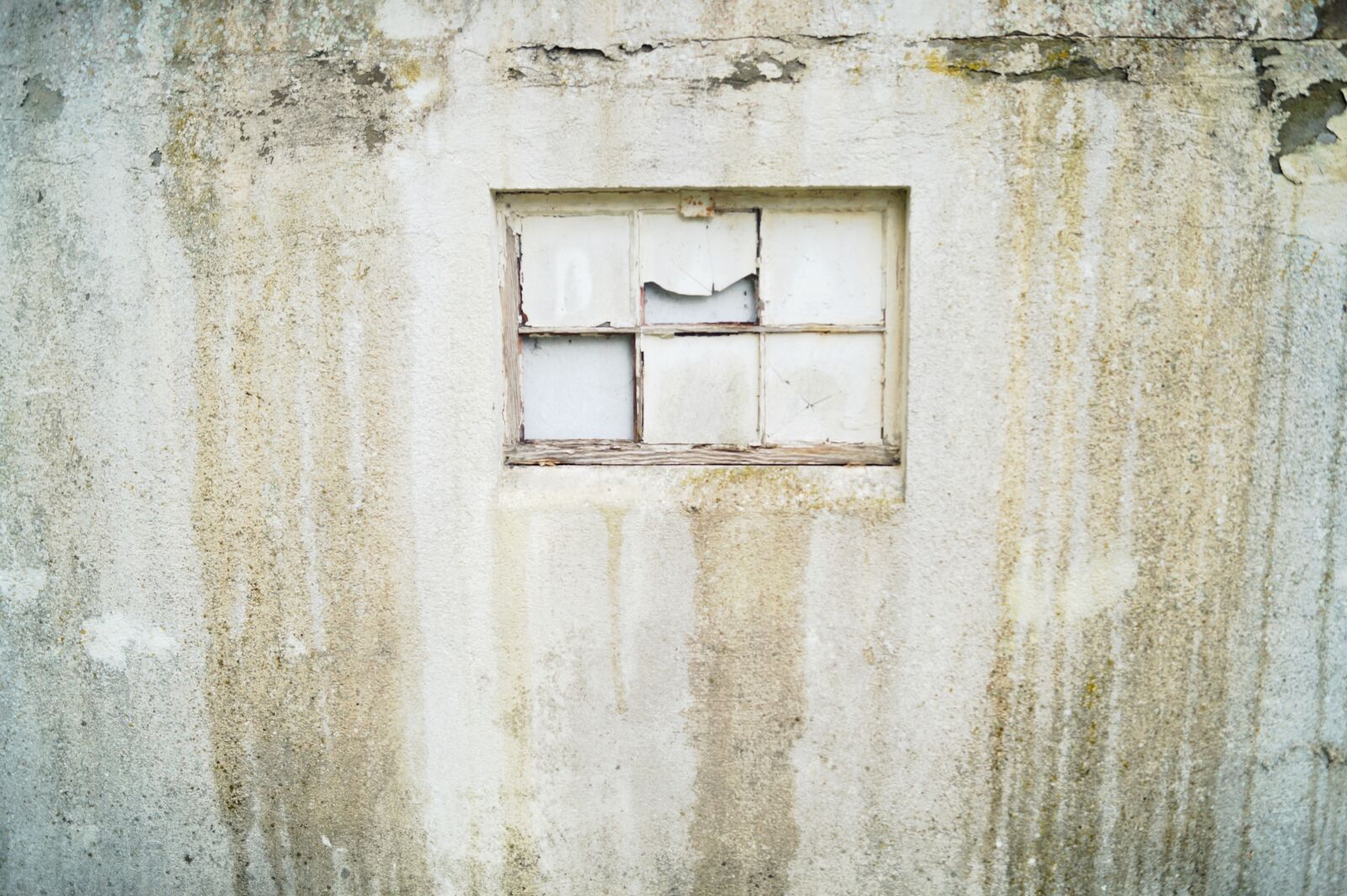 Sony SLT-A58 sample photo. Window, wall, facade photography