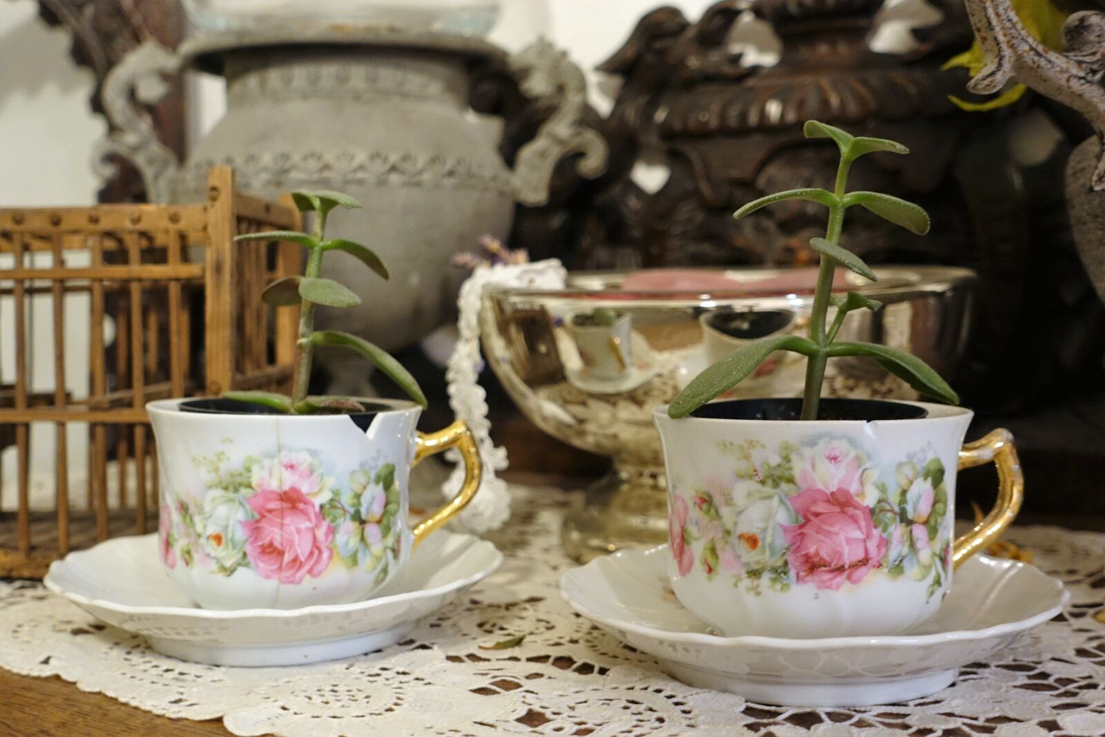 Sony Cyber-shot DSC-RX100 IV sample photo. Tea cups, vintage, plants photography