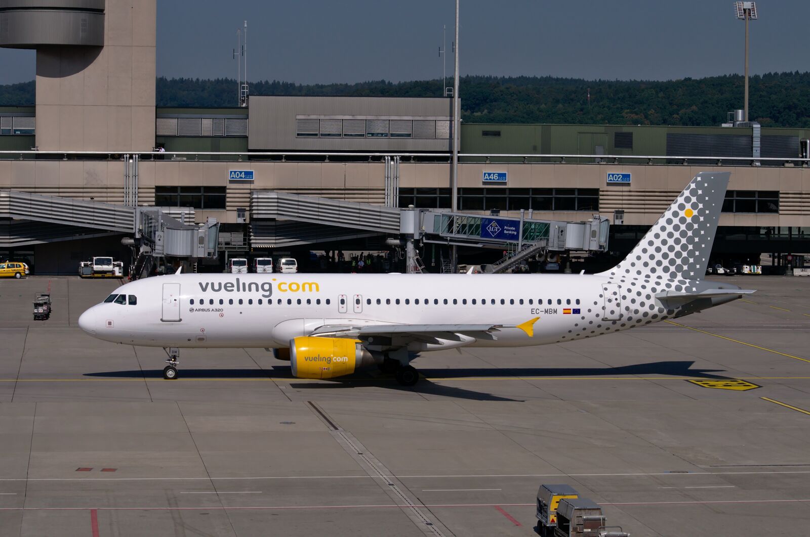 Nikon D300S sample photo. Airbus a320, vueling, aircraft photography
