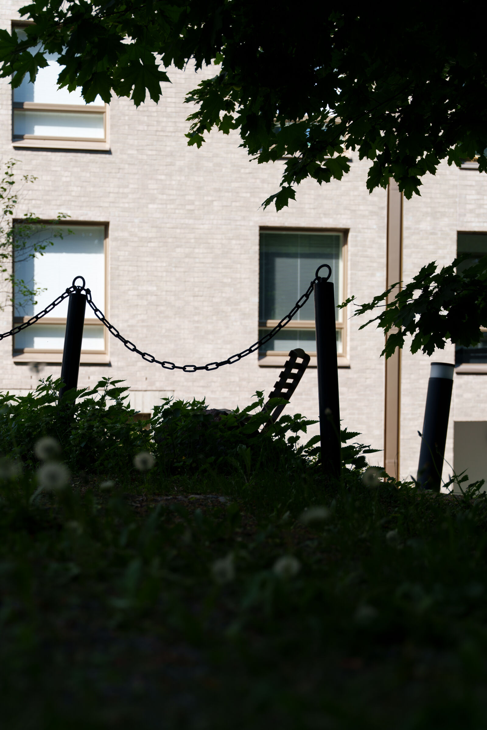 Sony a7R V sample photo. Shadow hill photography